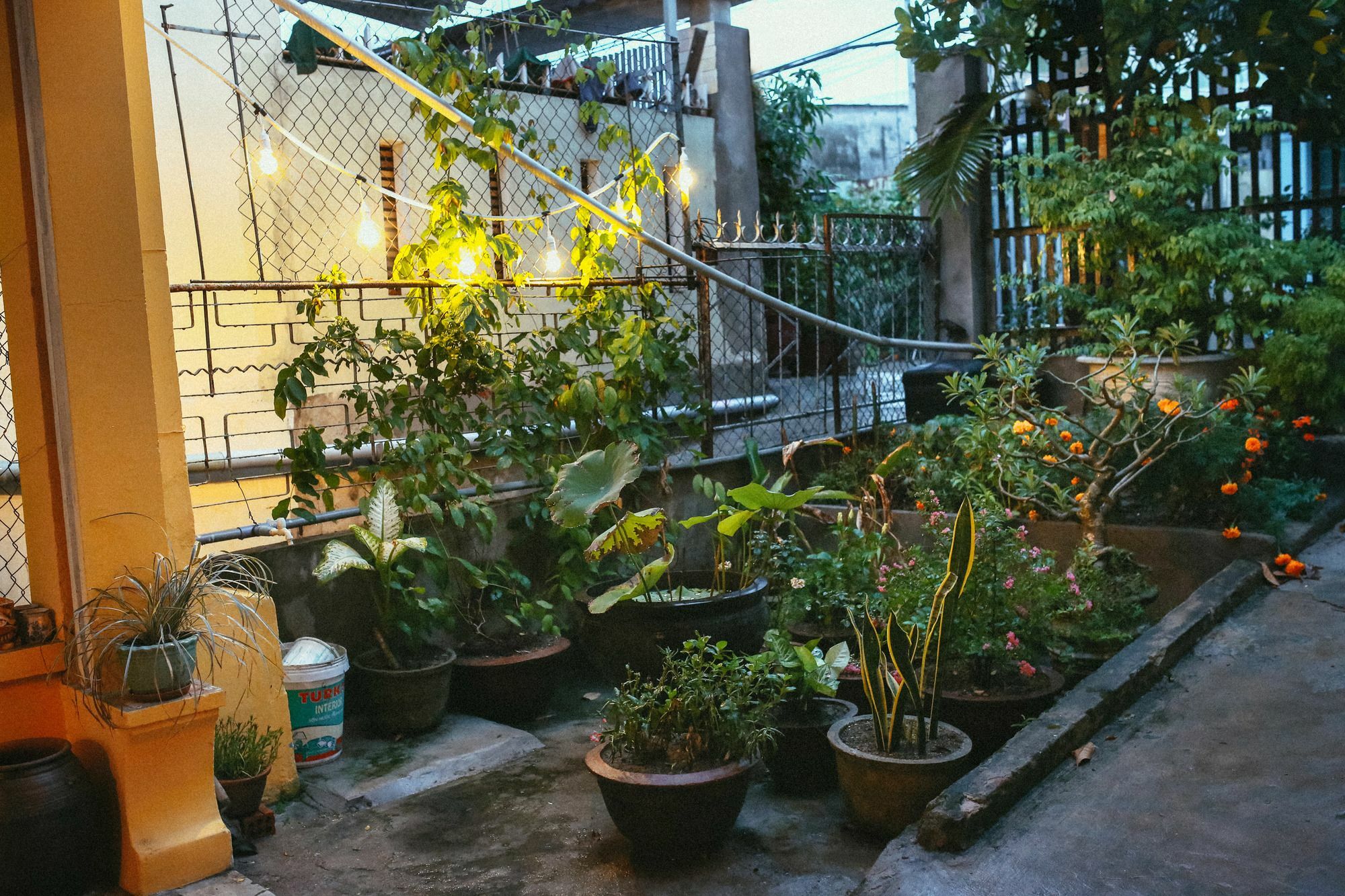 Inn Herb's House 2*