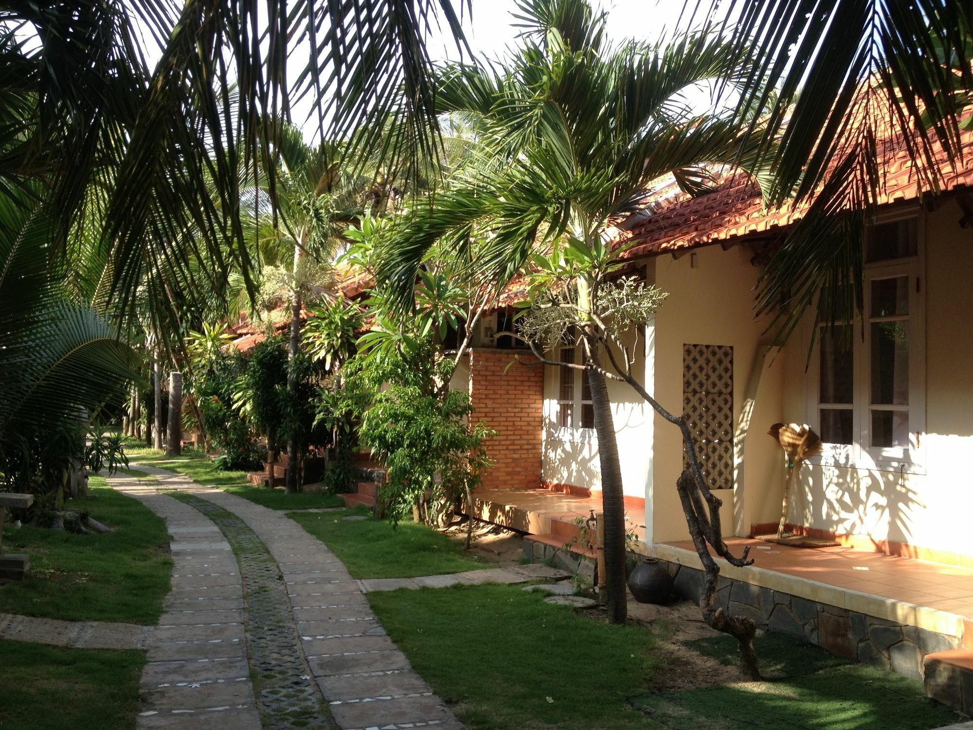 Nhat Quang 2*