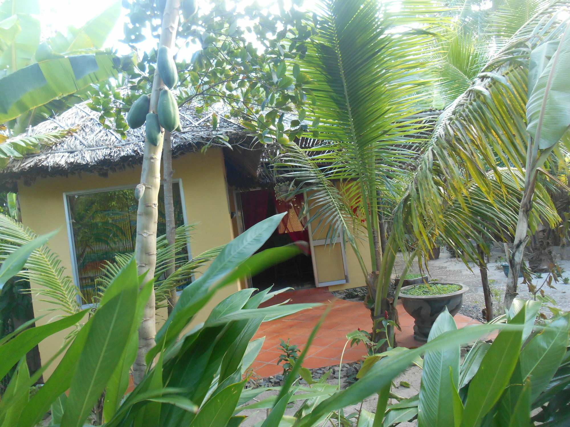 Thuy - Gunter Garden * Mũi Né