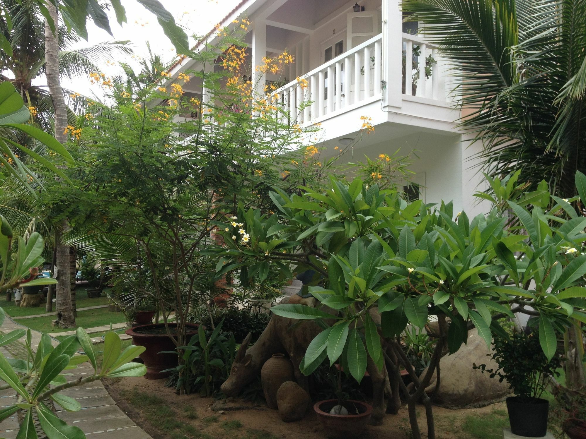 Nhat Quang