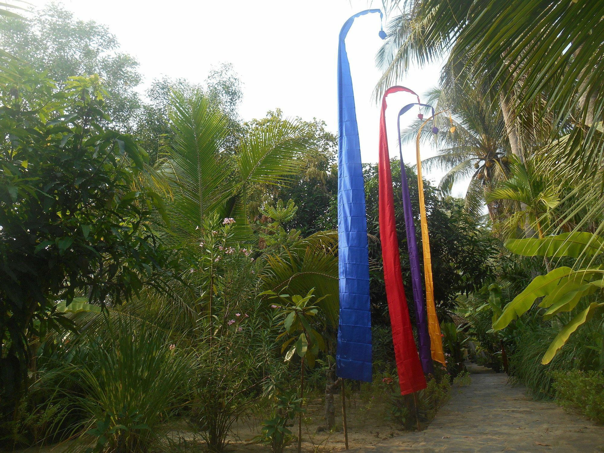 Thuy - Gunter Garden *
