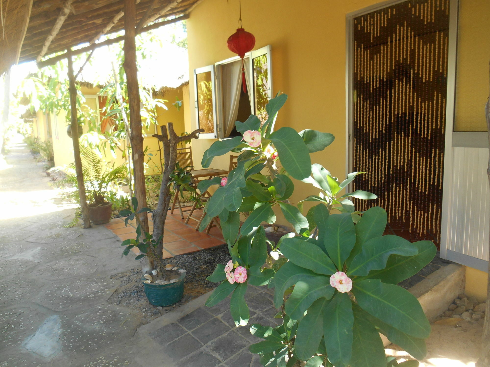 Thuy - Gunter Garden *