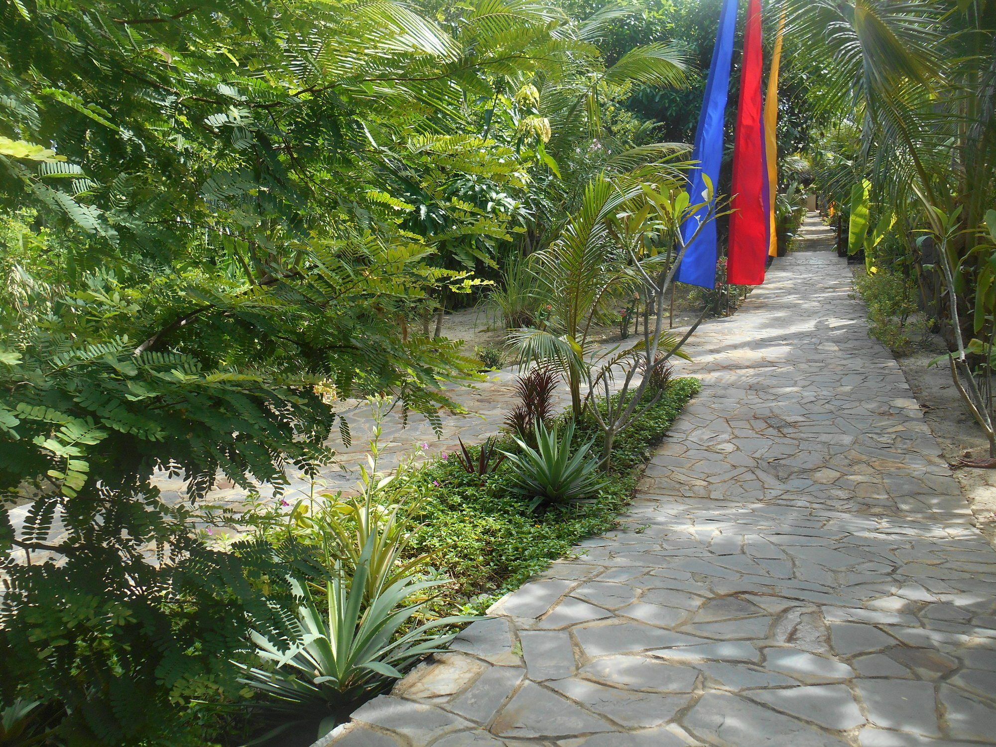 Thuy - Gunter Garden * Mũi Né
