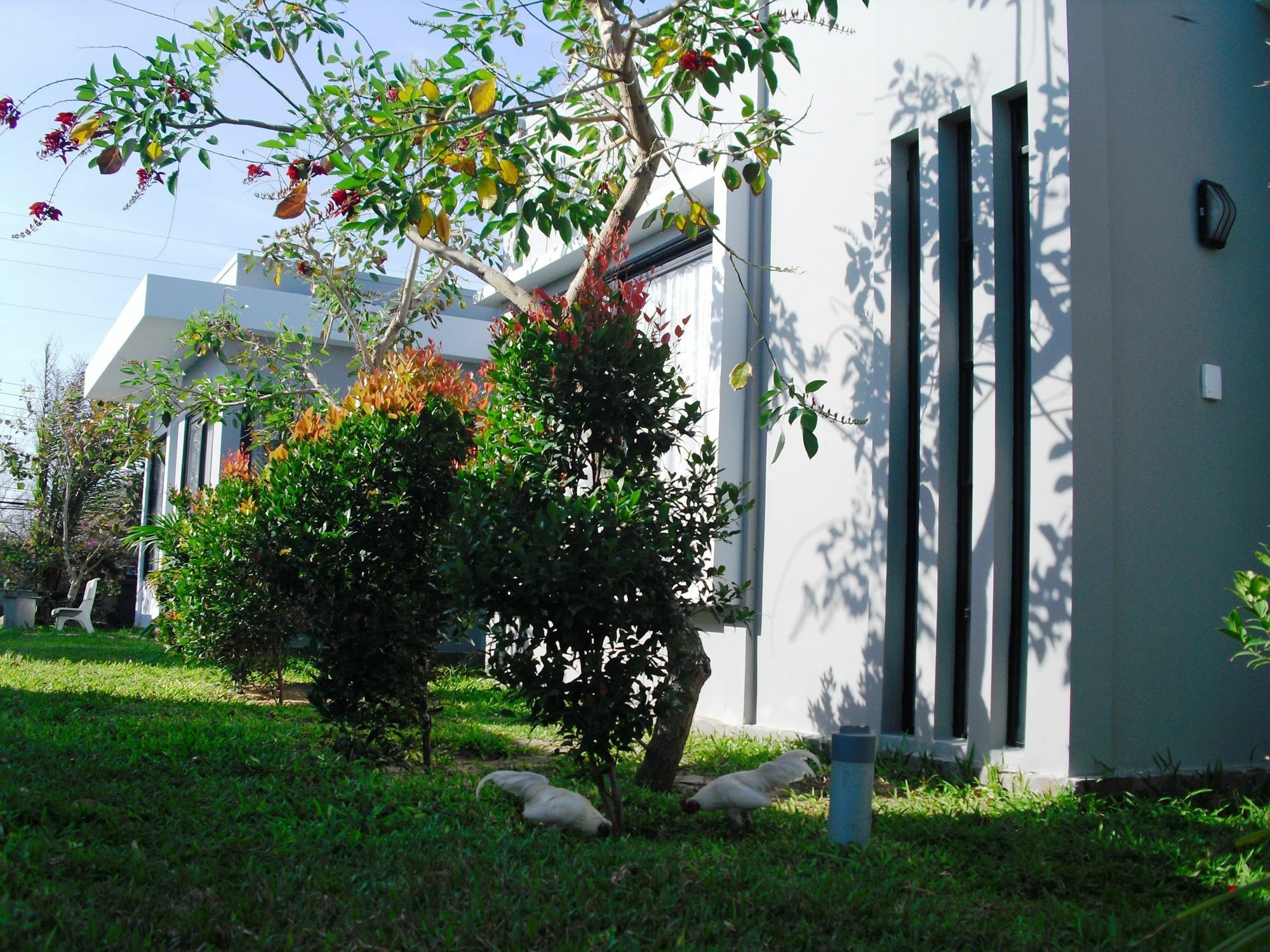 Nguyen Minihouse * Phan Thiet