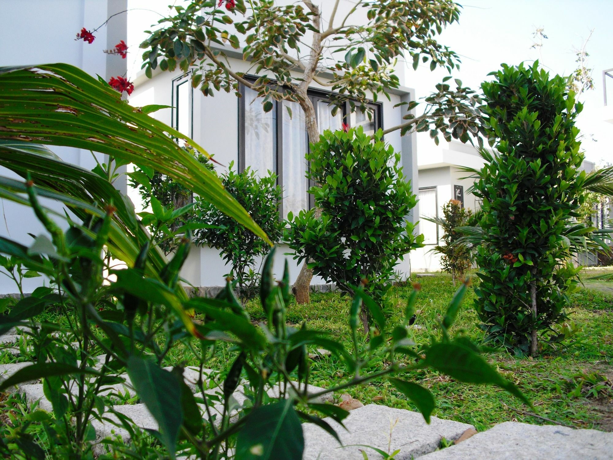 Villa Nguyen Minihouse Phan Thiet