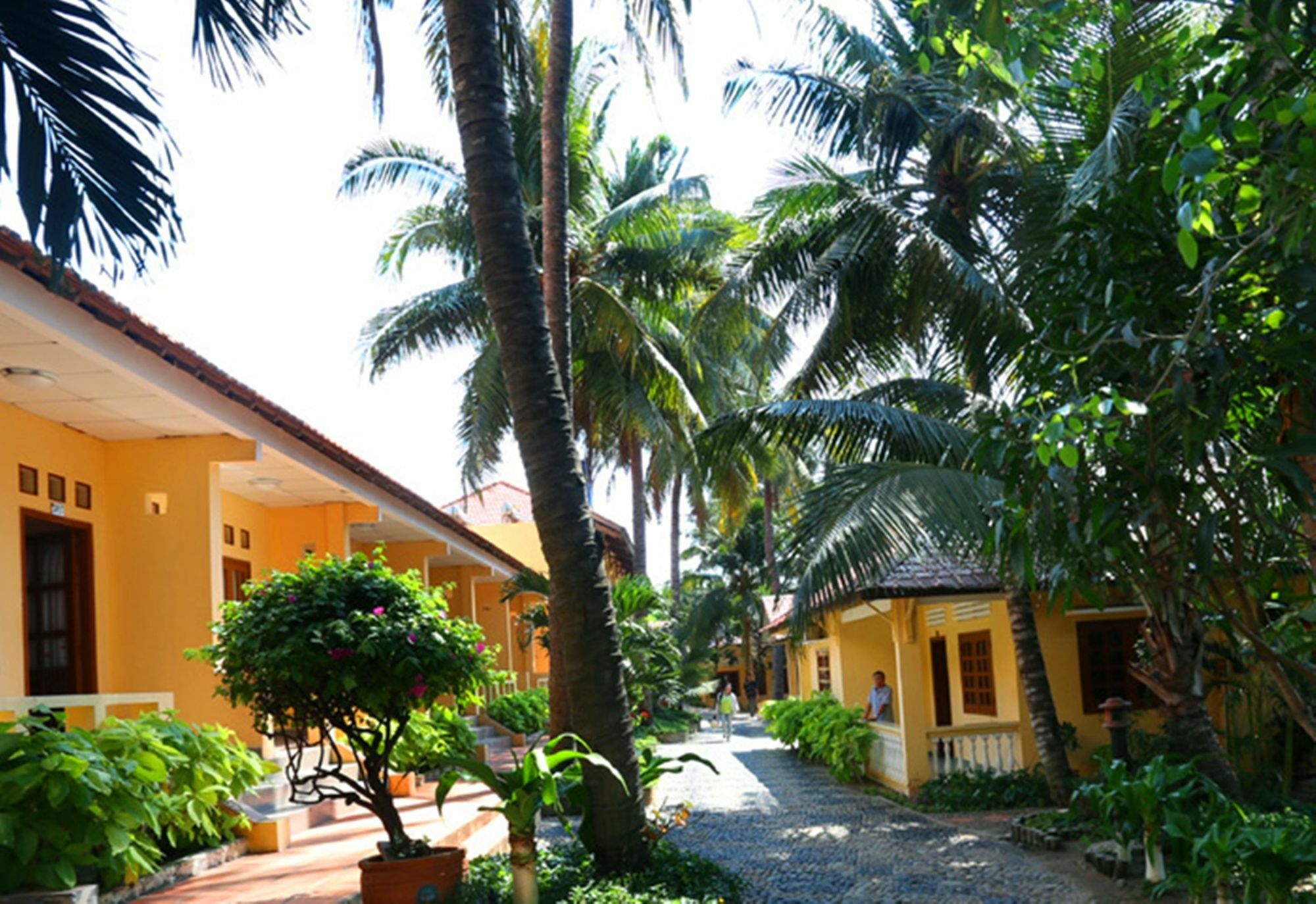 Hotel Hon Rom 1