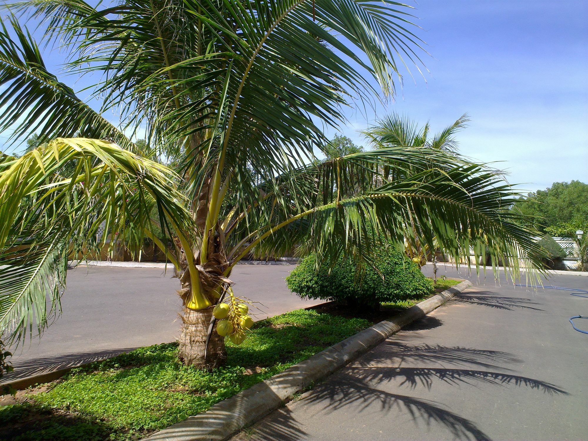 Village 2* Mui Ne