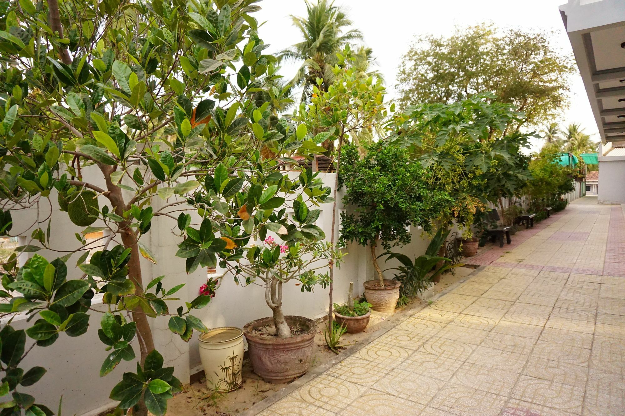 Cat Tien Guest house