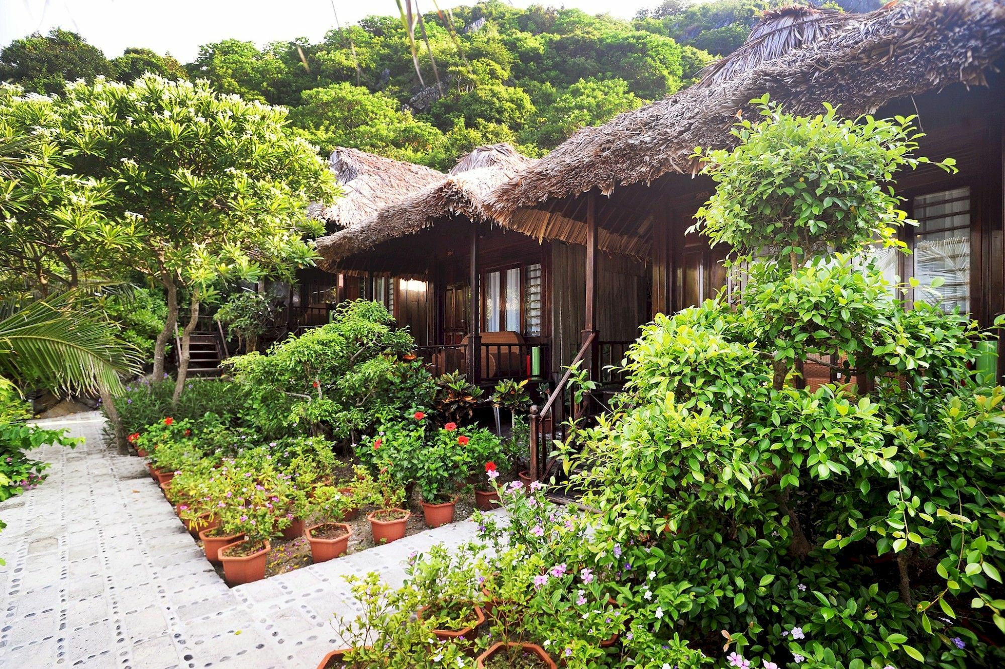 Monkey Island Hotel Dong Khe Sau