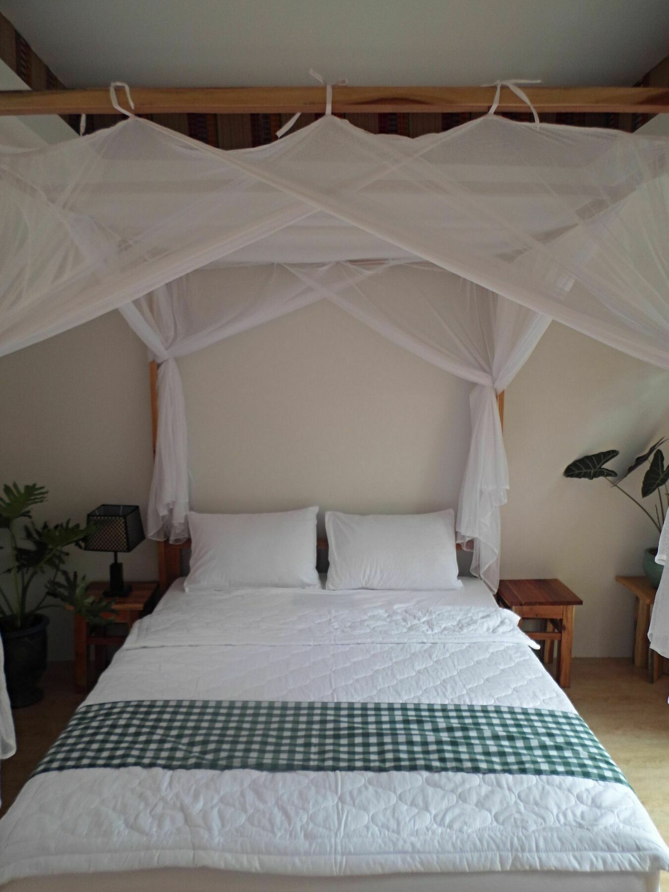 Resort La Paloma