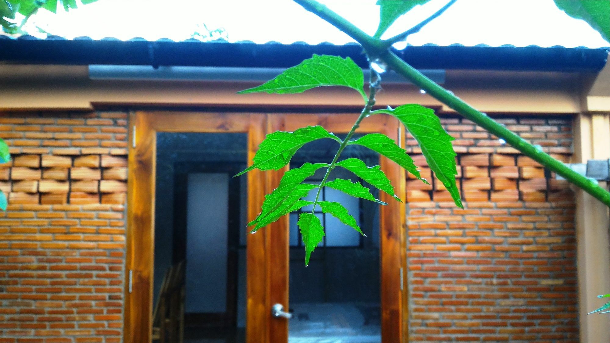La Paloma 3*