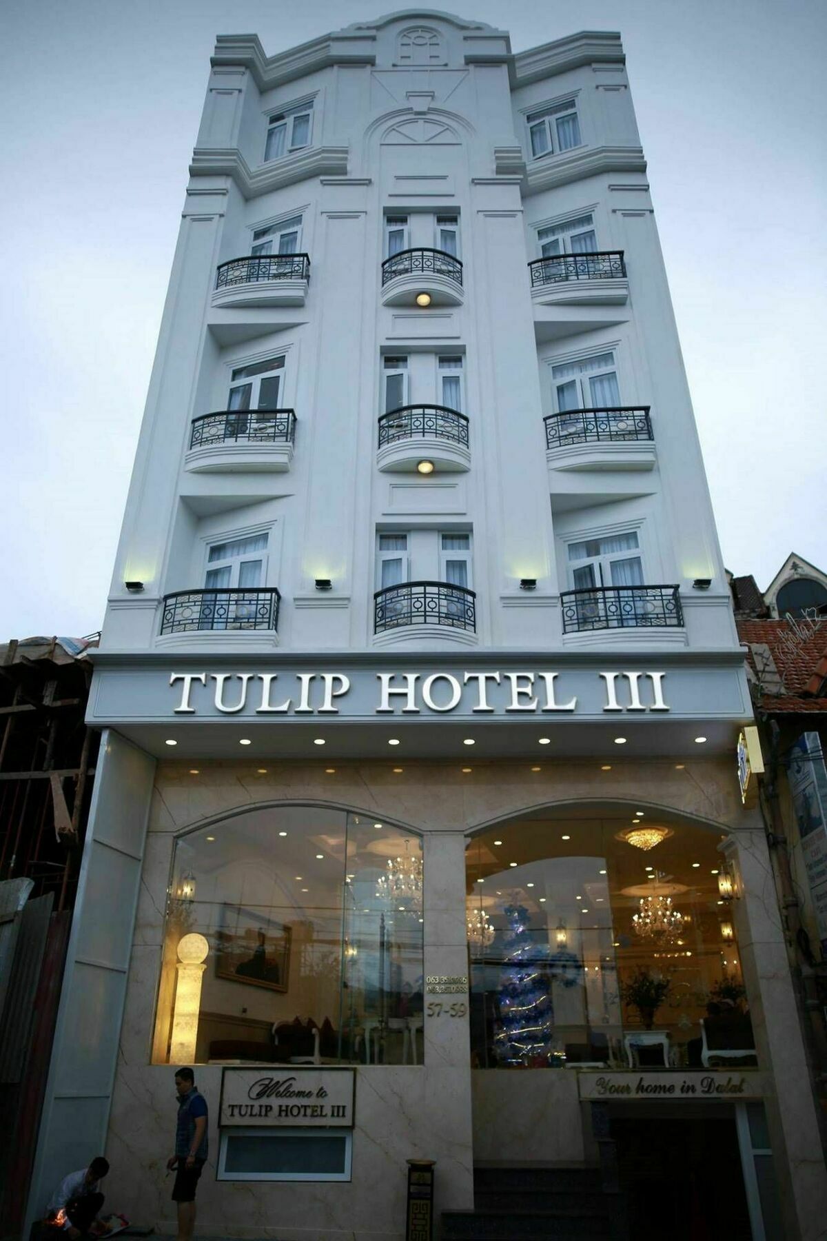 Tulip 3 Da Lat