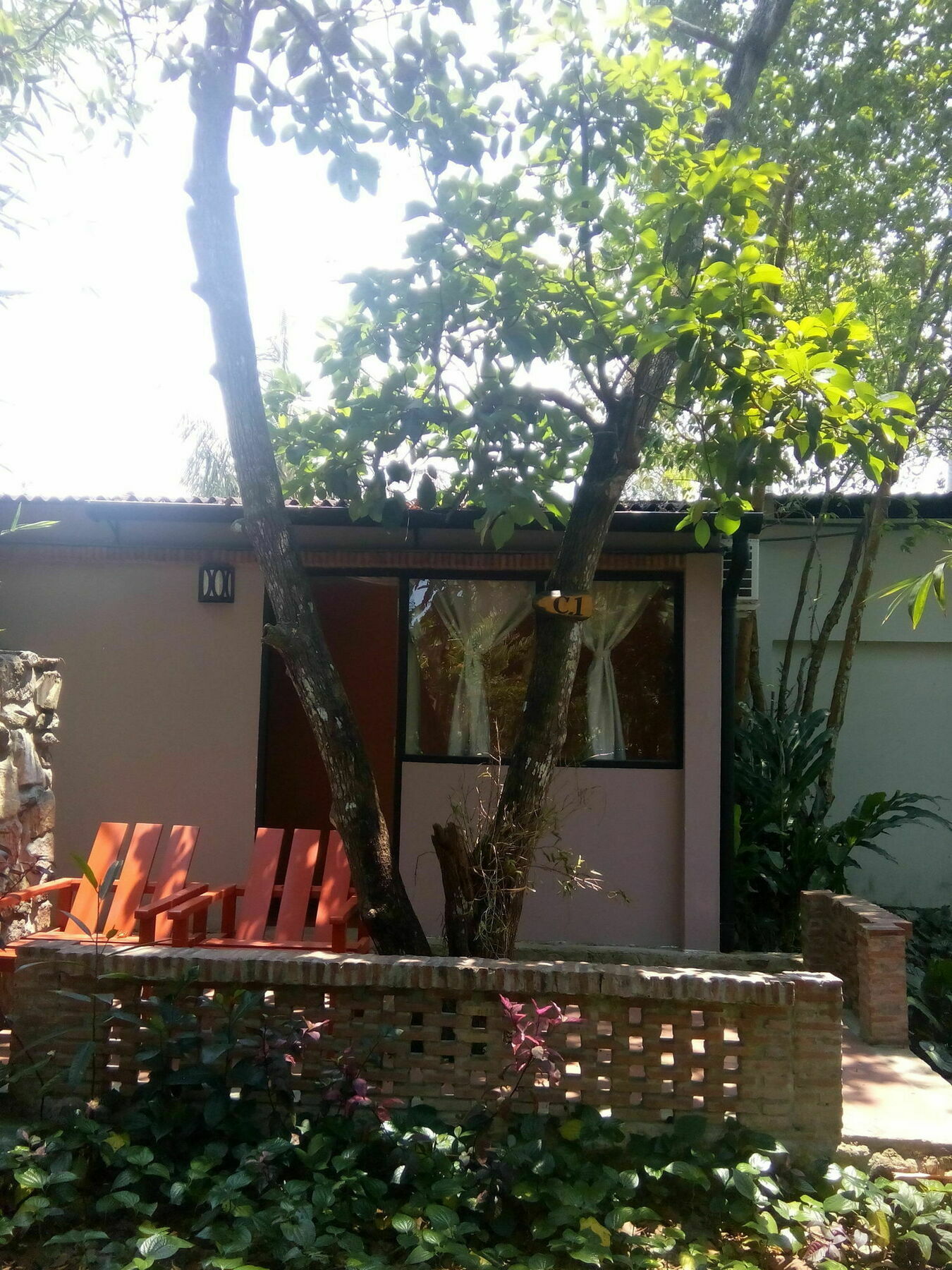 La Paloma
