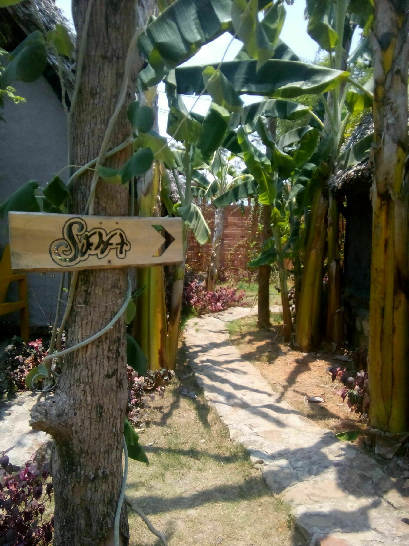Resort La Paloma