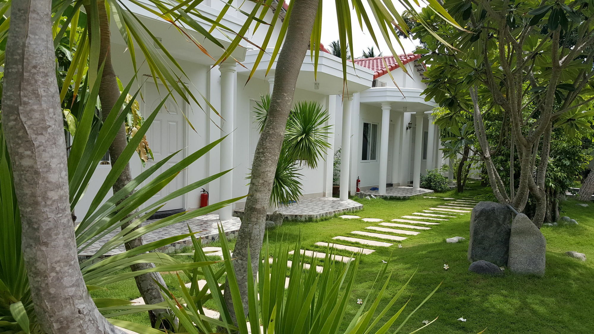 Dragon Bay Homestay *