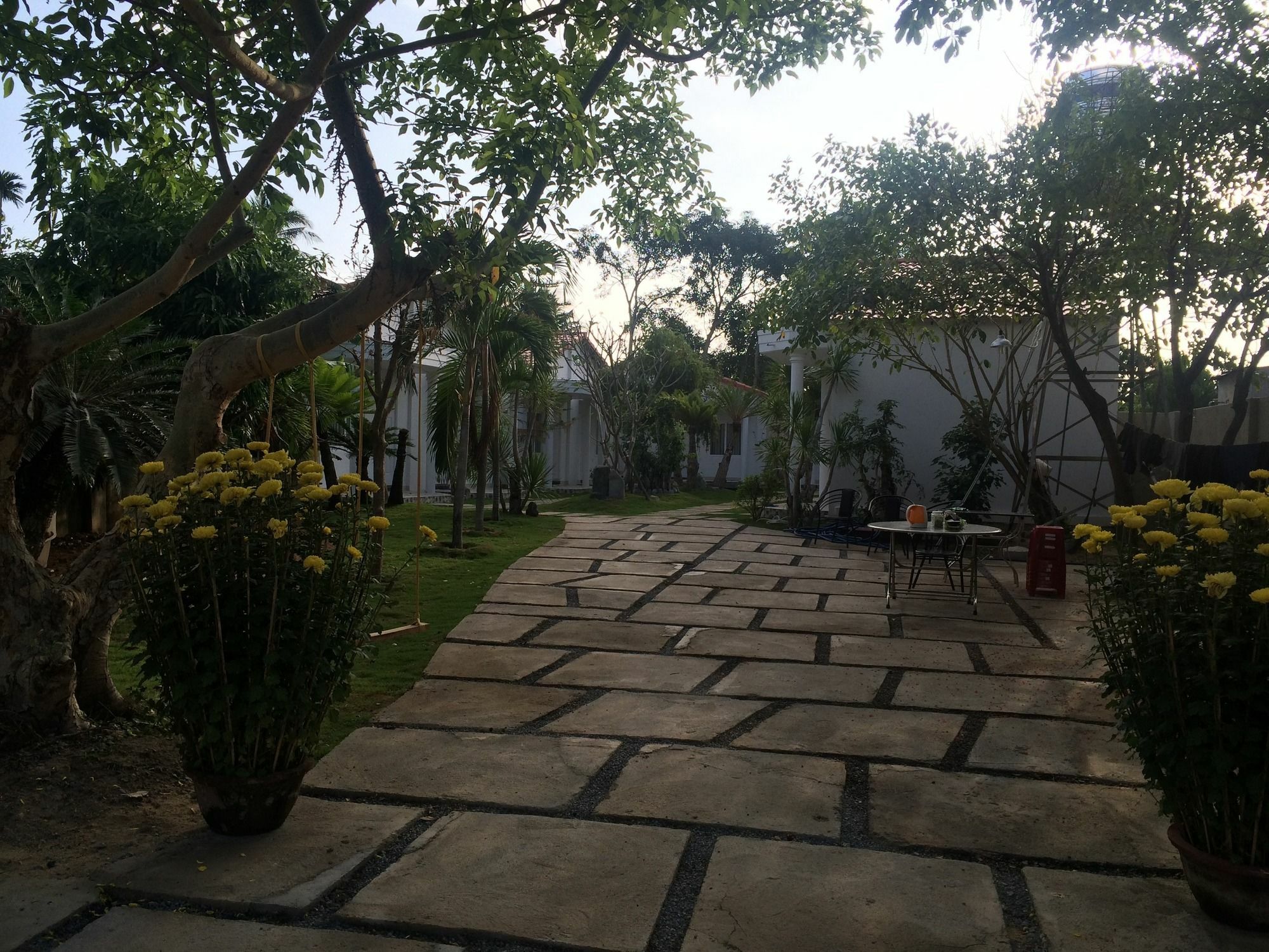 Dragon Bay Homestay Cam Lam