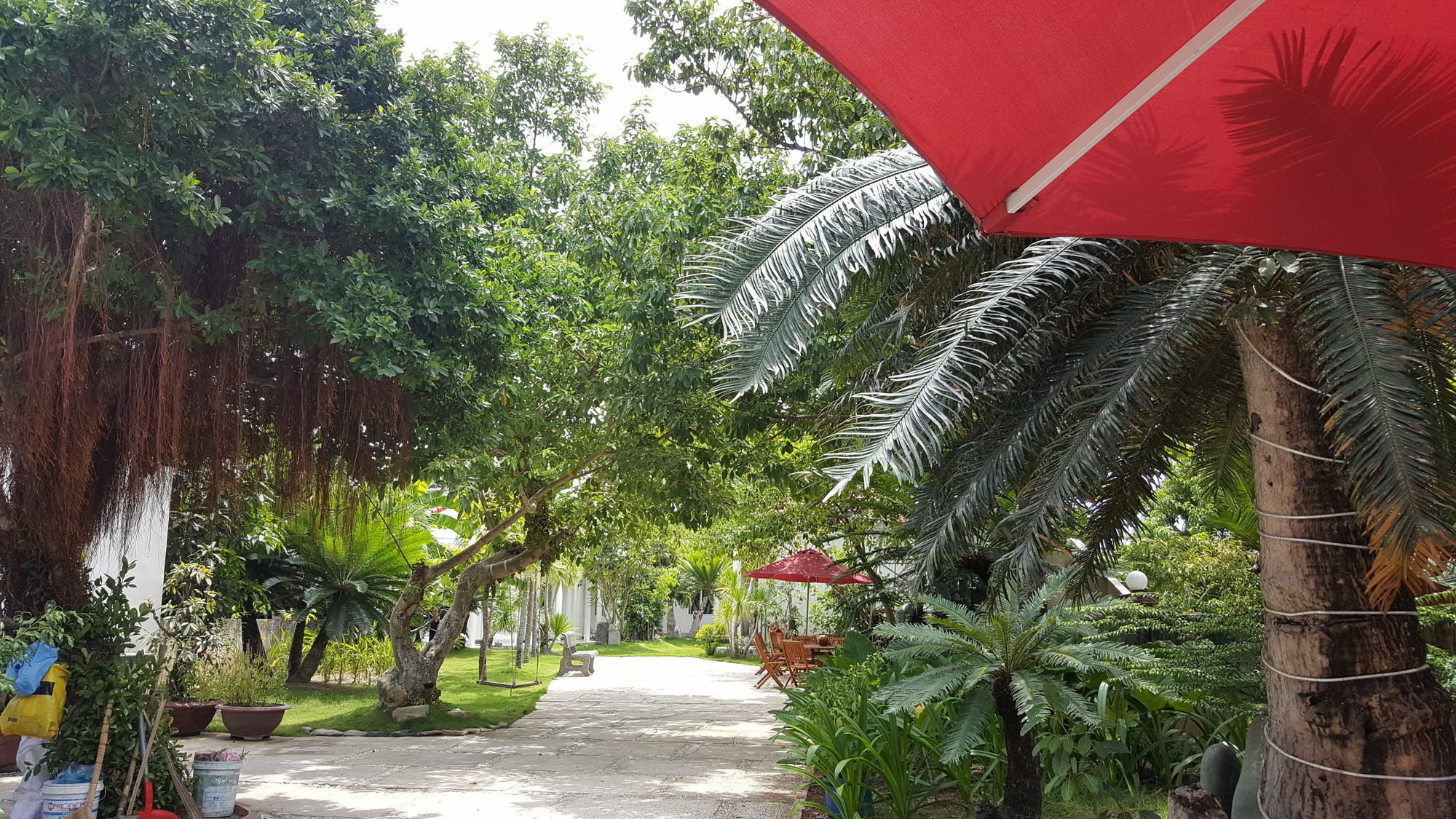 Homestay Dragon Bay