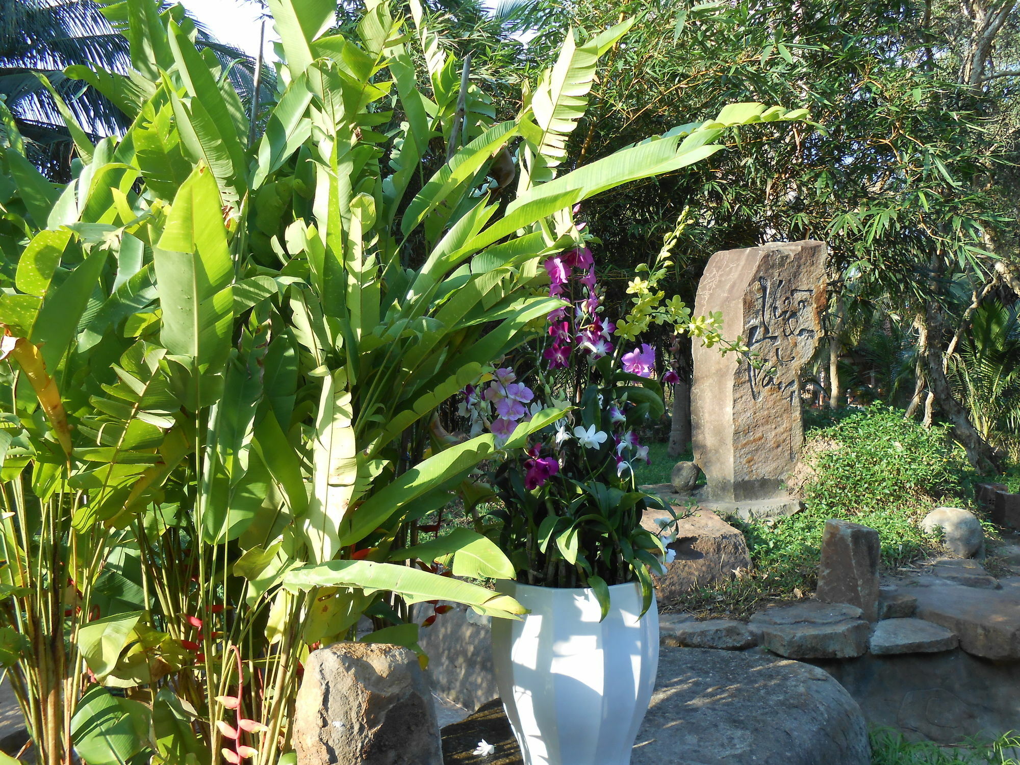 Minera Hot Springs Resort