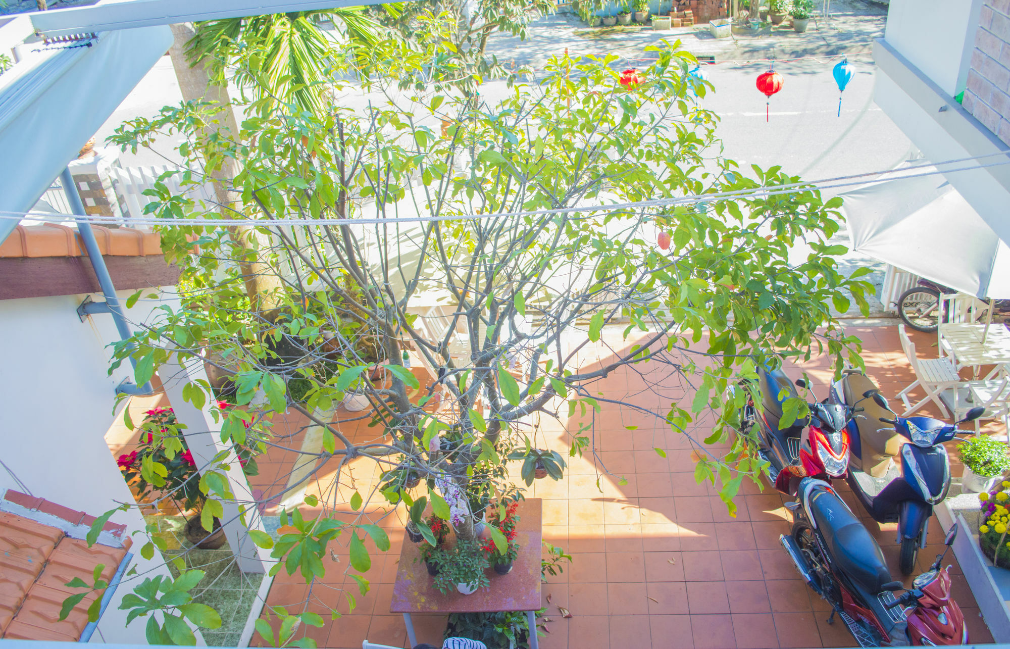 Ở trọ Halo Hội An