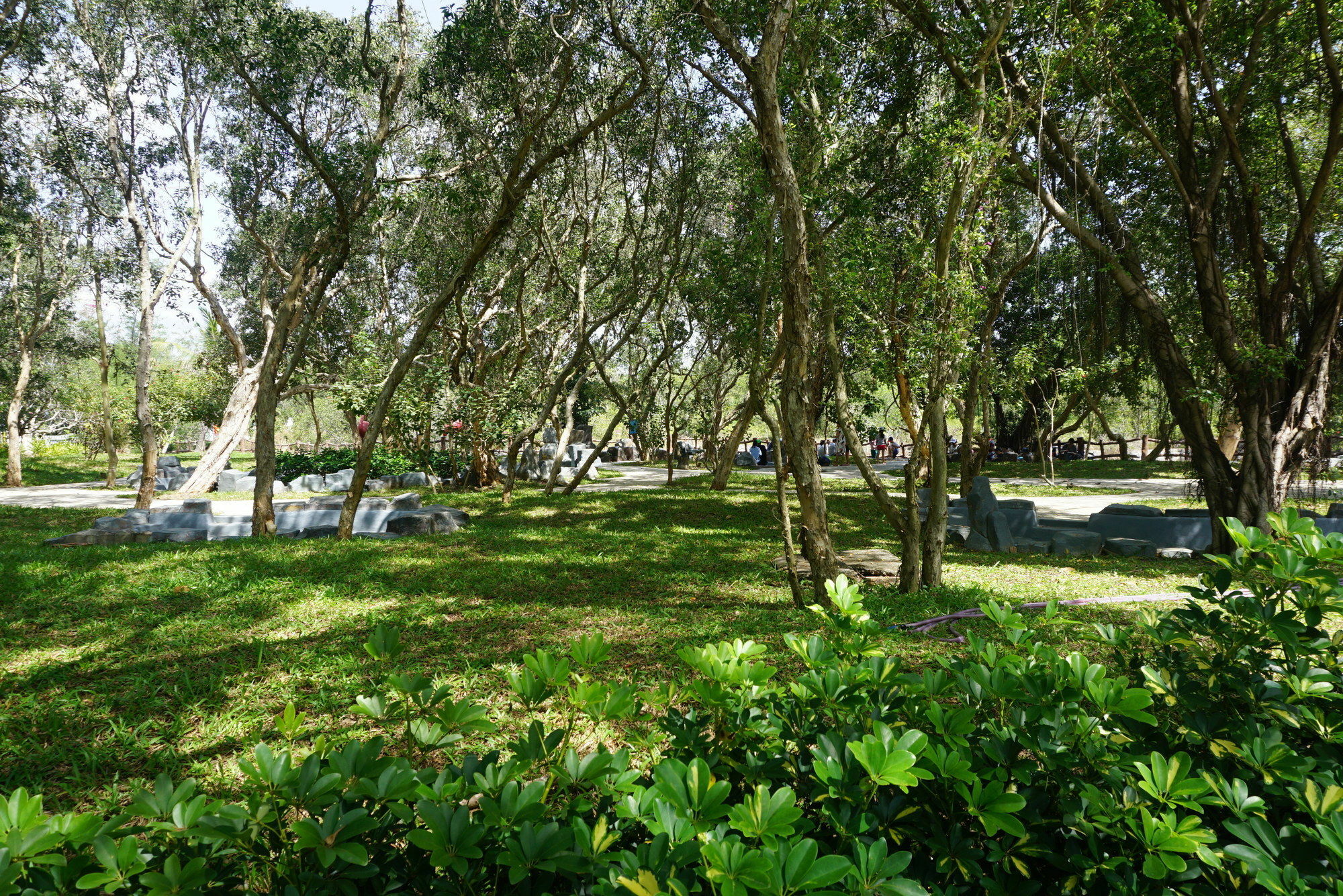 Minera Hot Springs 4* Binh Chau