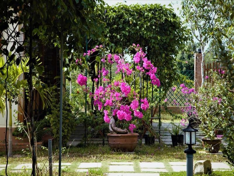 Spring Garden