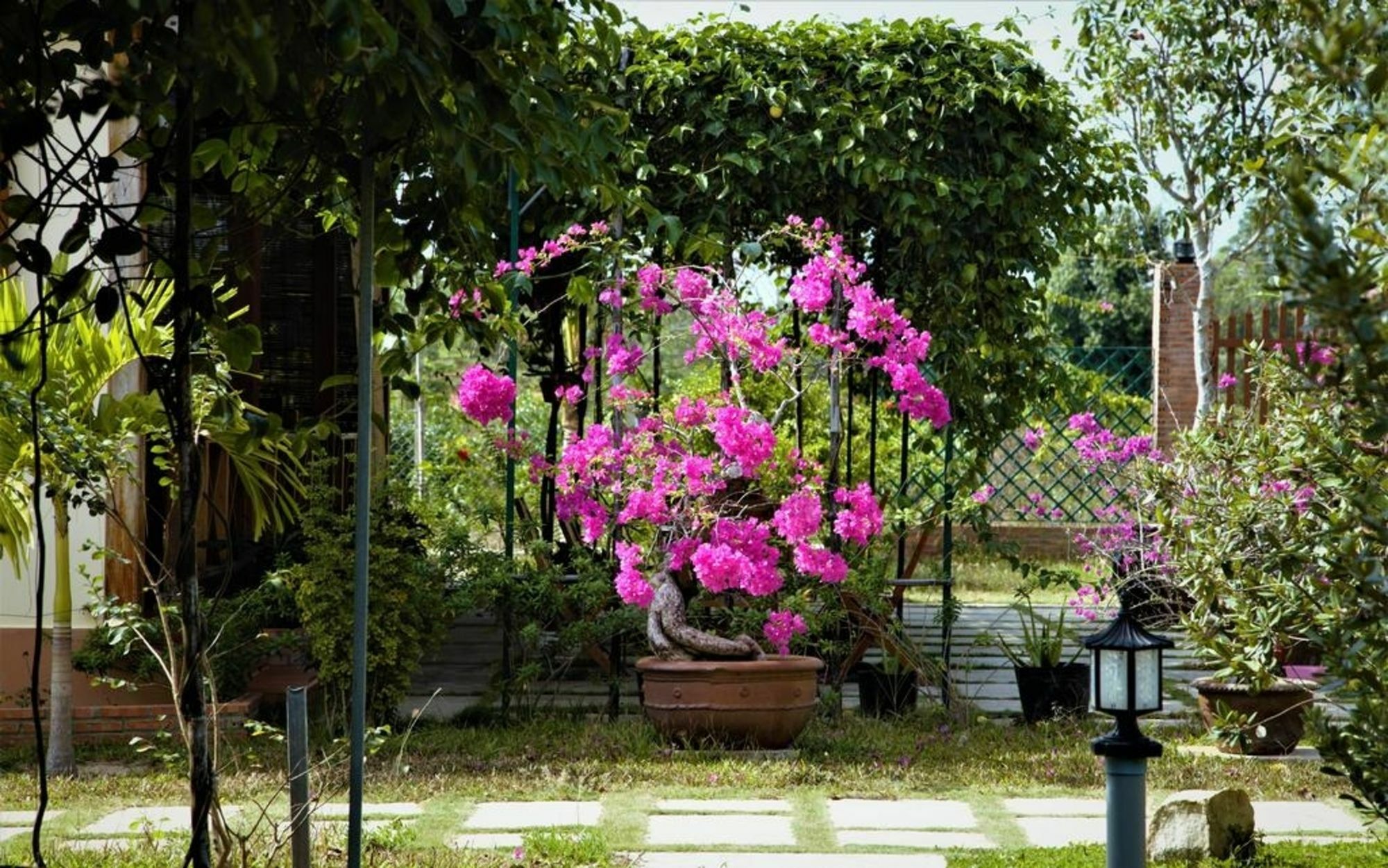 Privatunterkunft Spring Garden