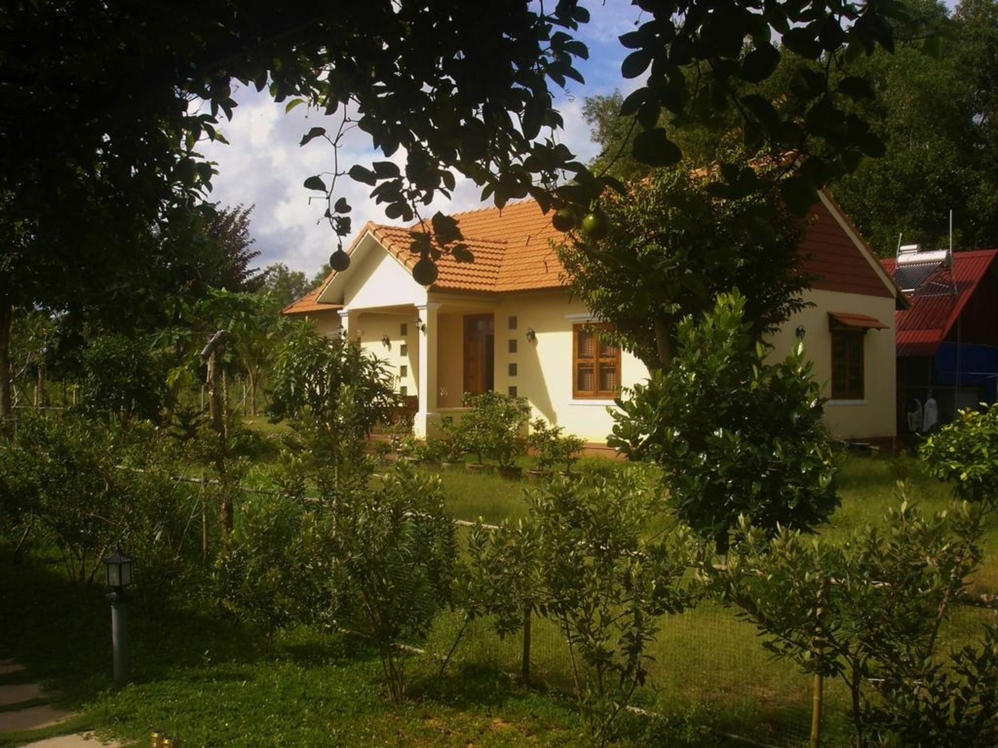 Spring Garden