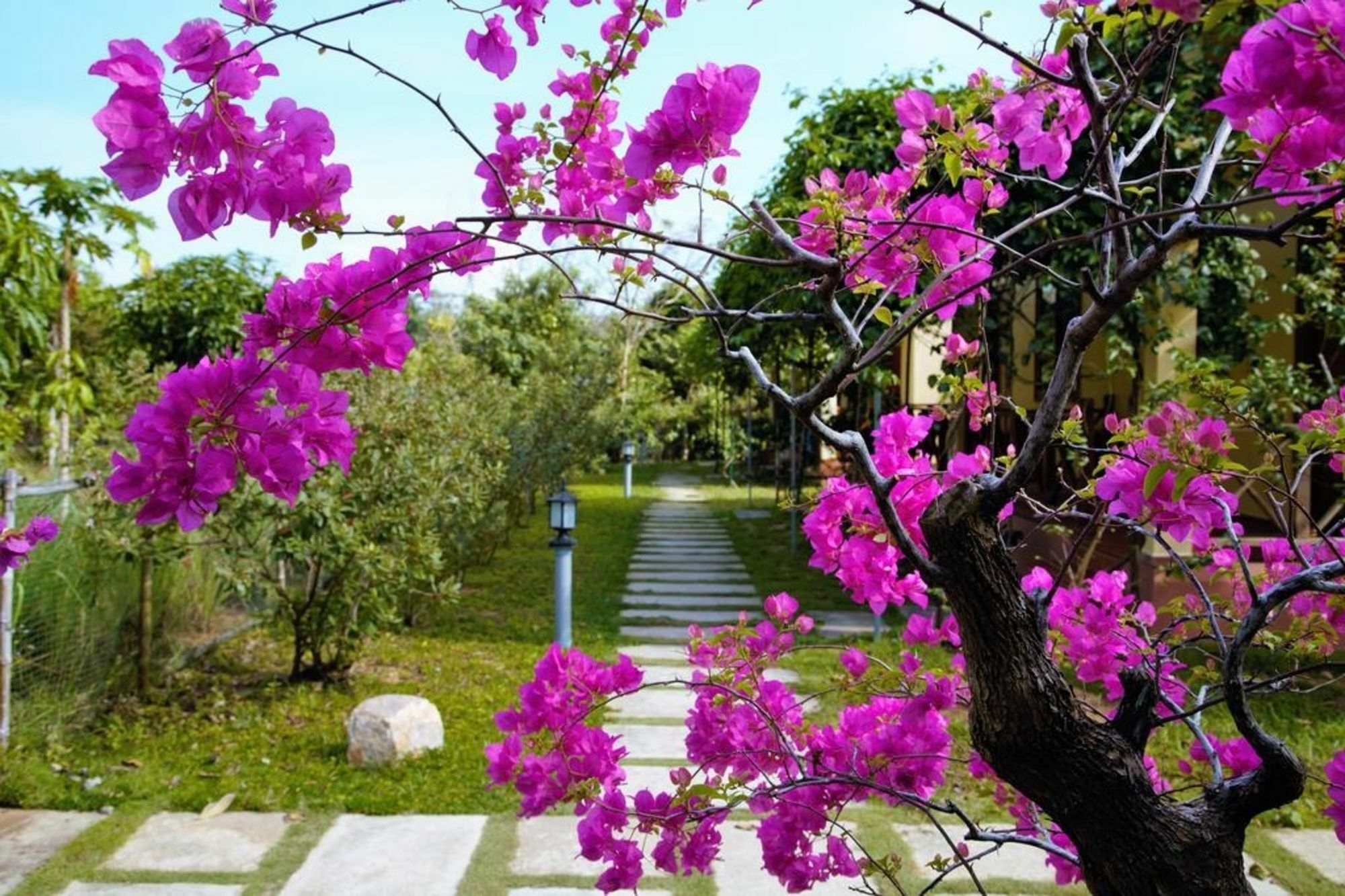 Spring Garden Privatunterkunft Phú Quốc