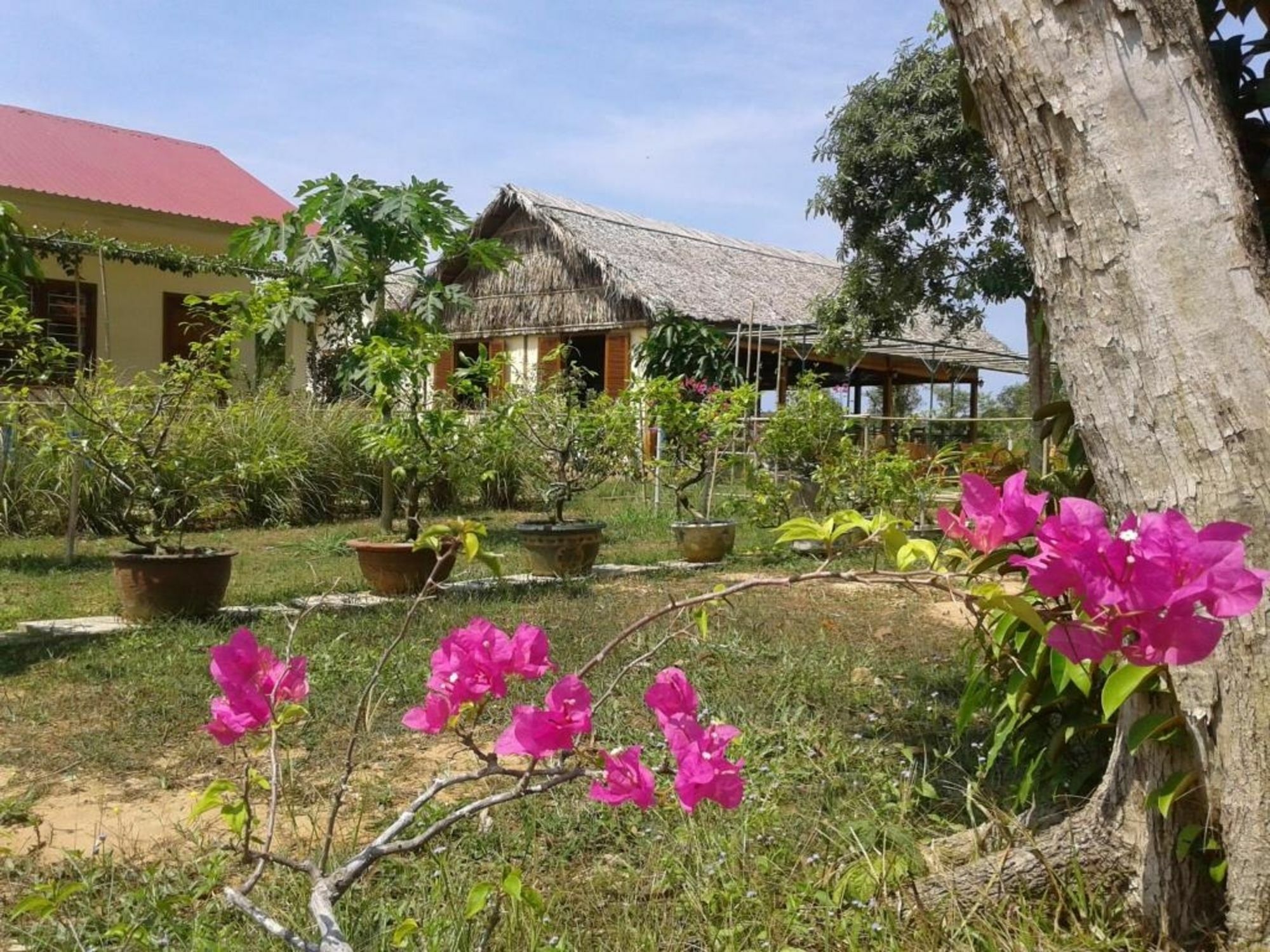 Spring Garden * Phú Quốc