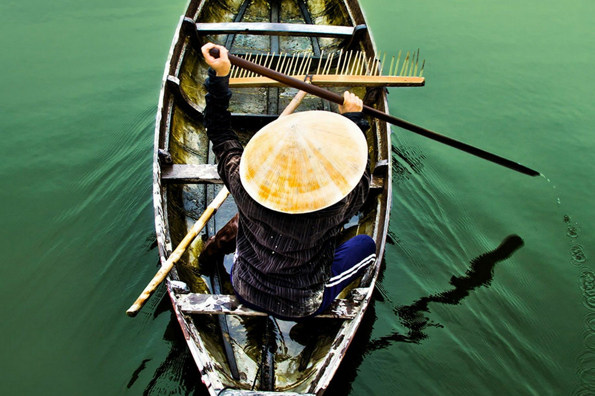Cam Nam Hội An
