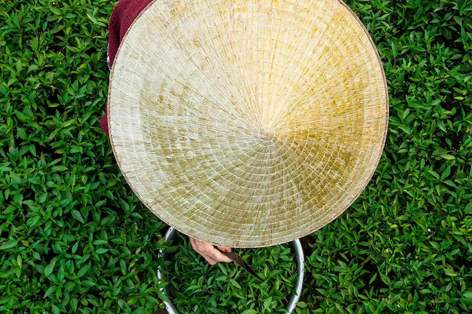 Cam Nam Ở trọ *