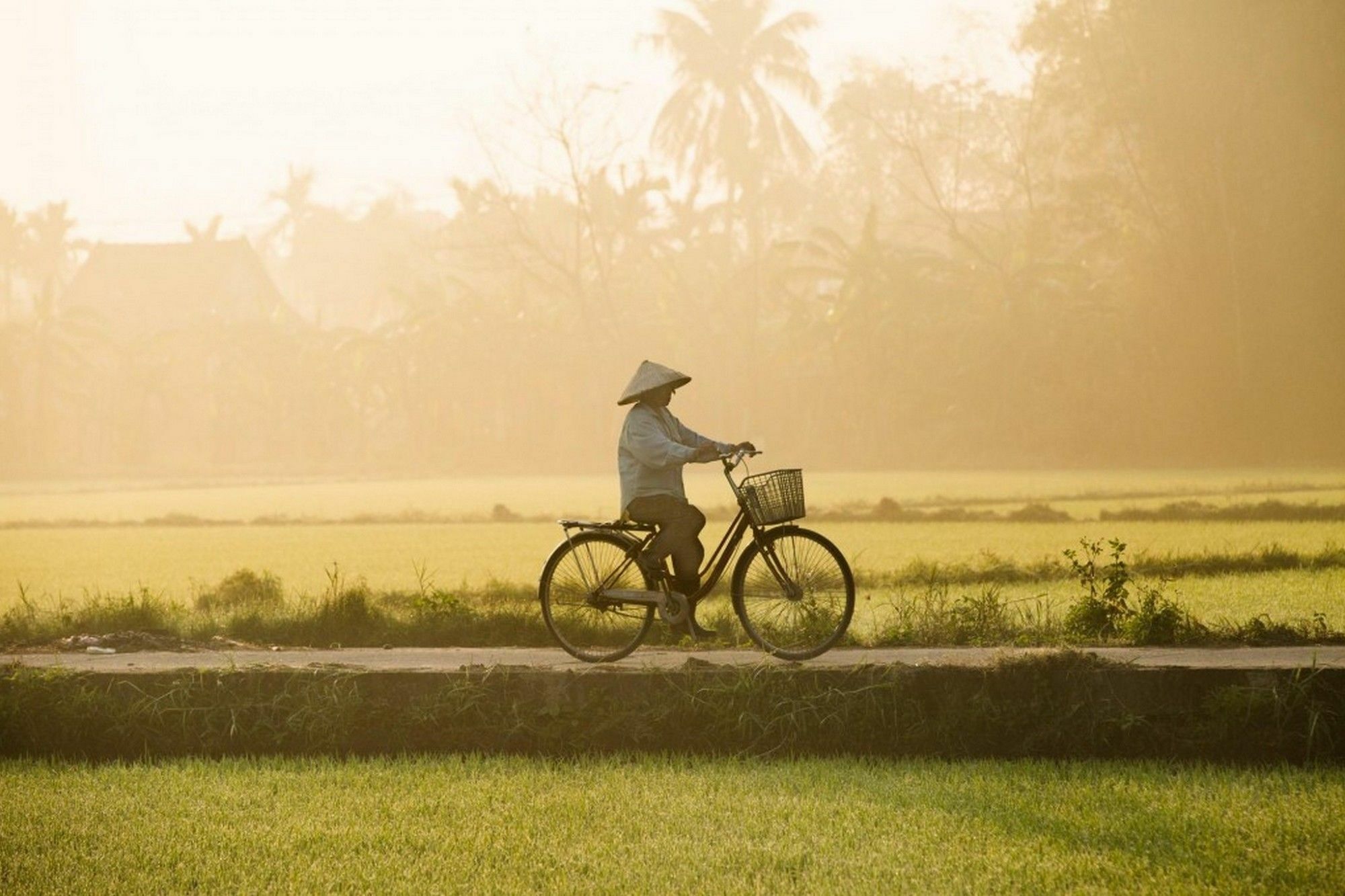 Ở trọ Cam Nam