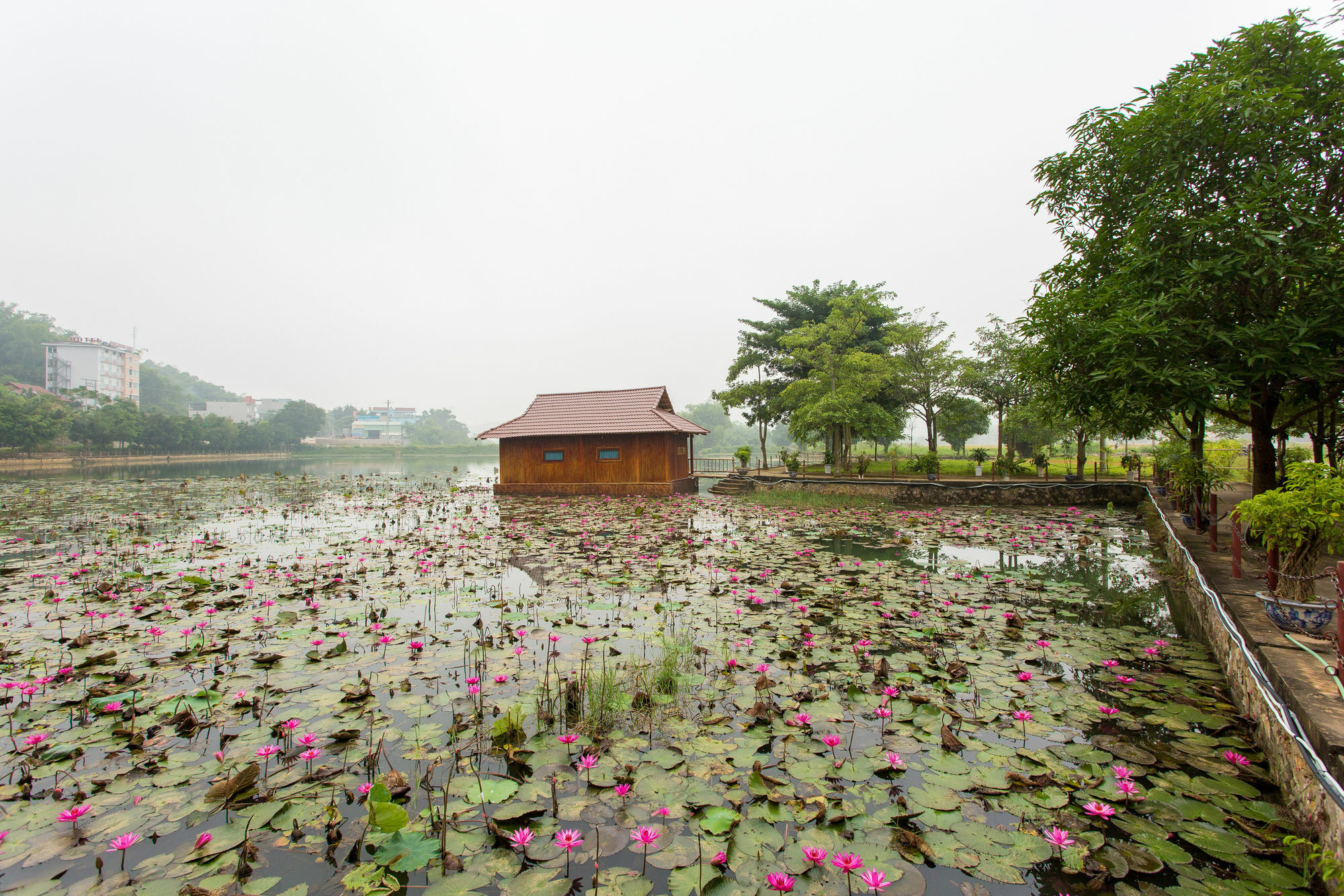 Mai Chau