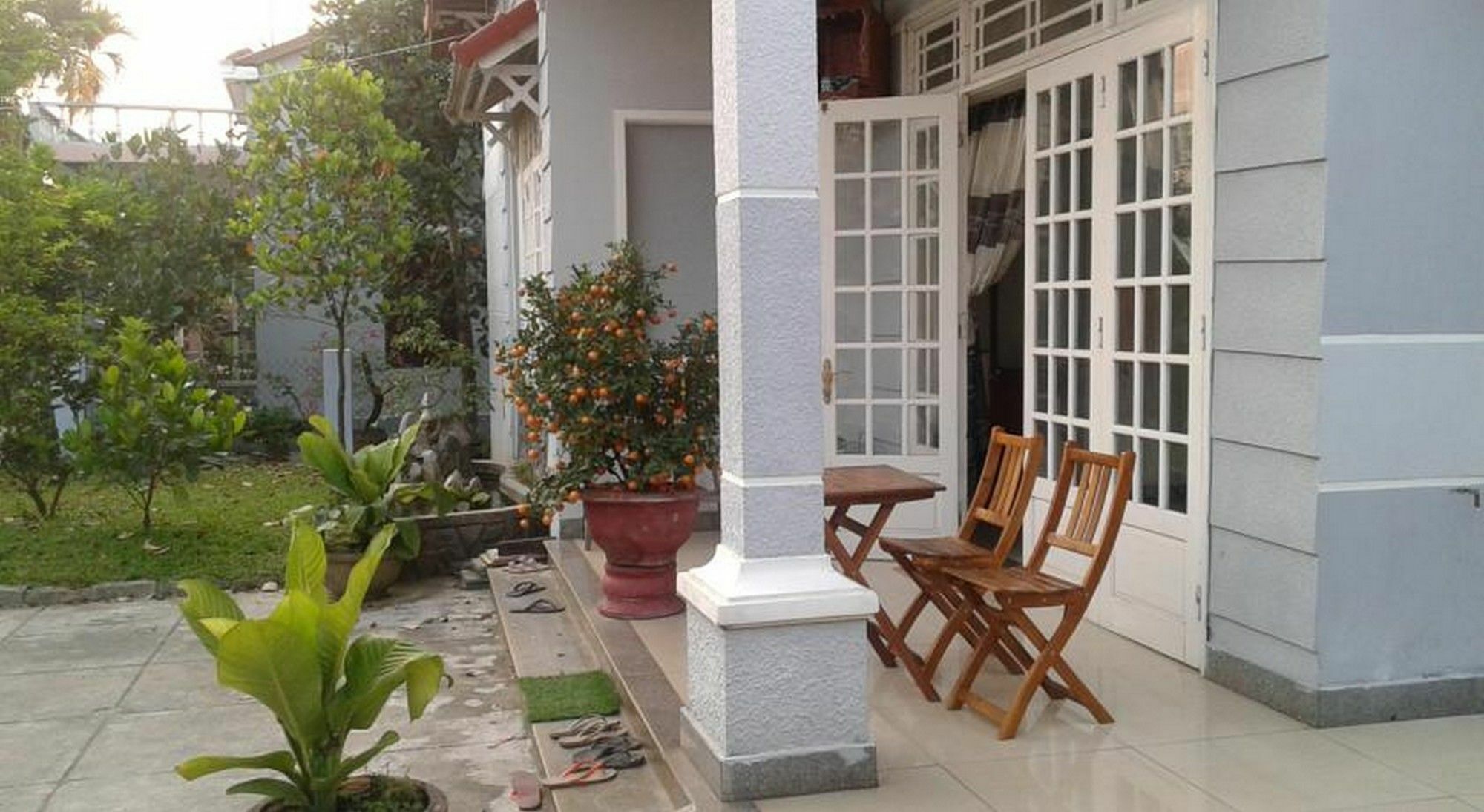 Gingergrass * Hoi An