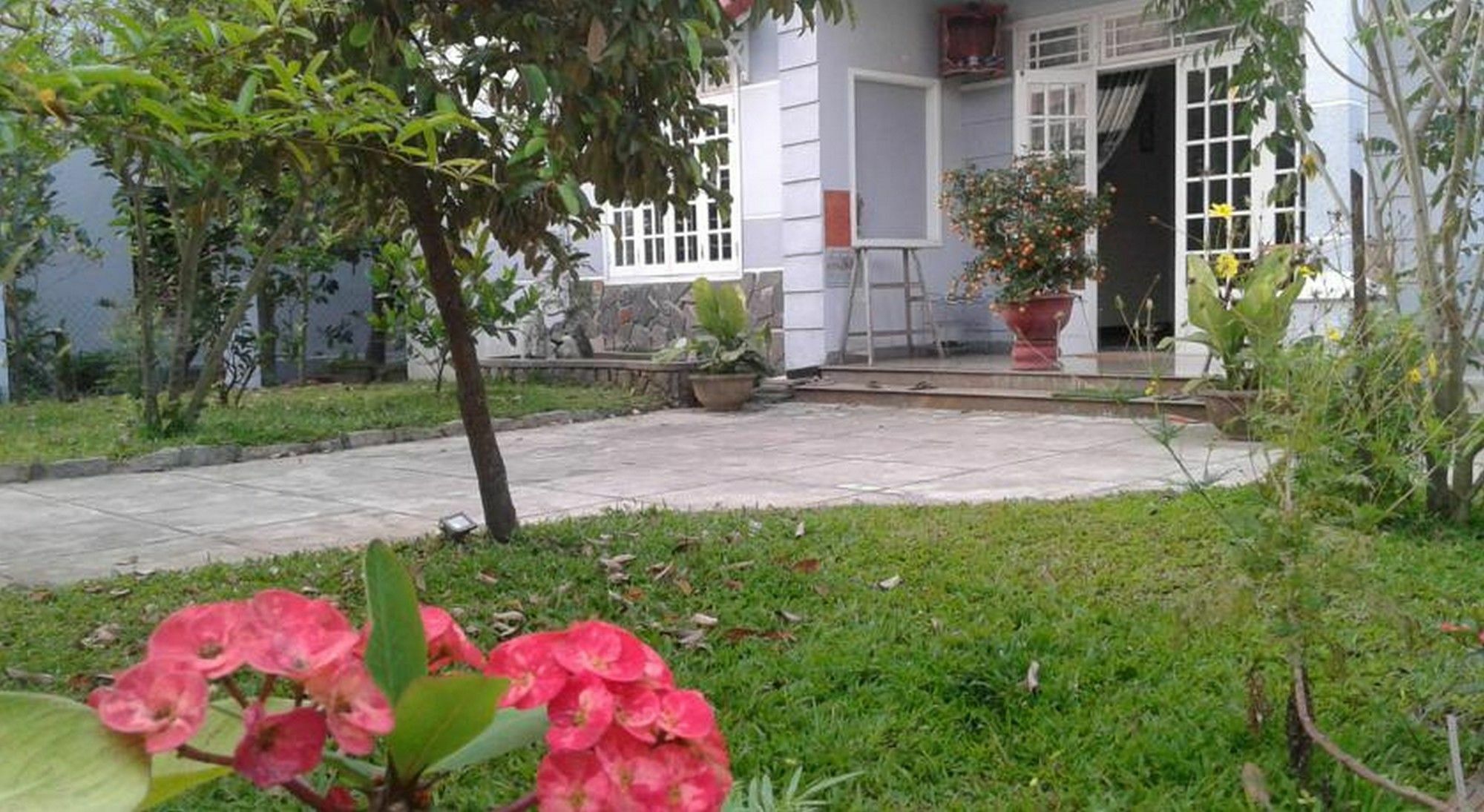 Homestay Gingergrass