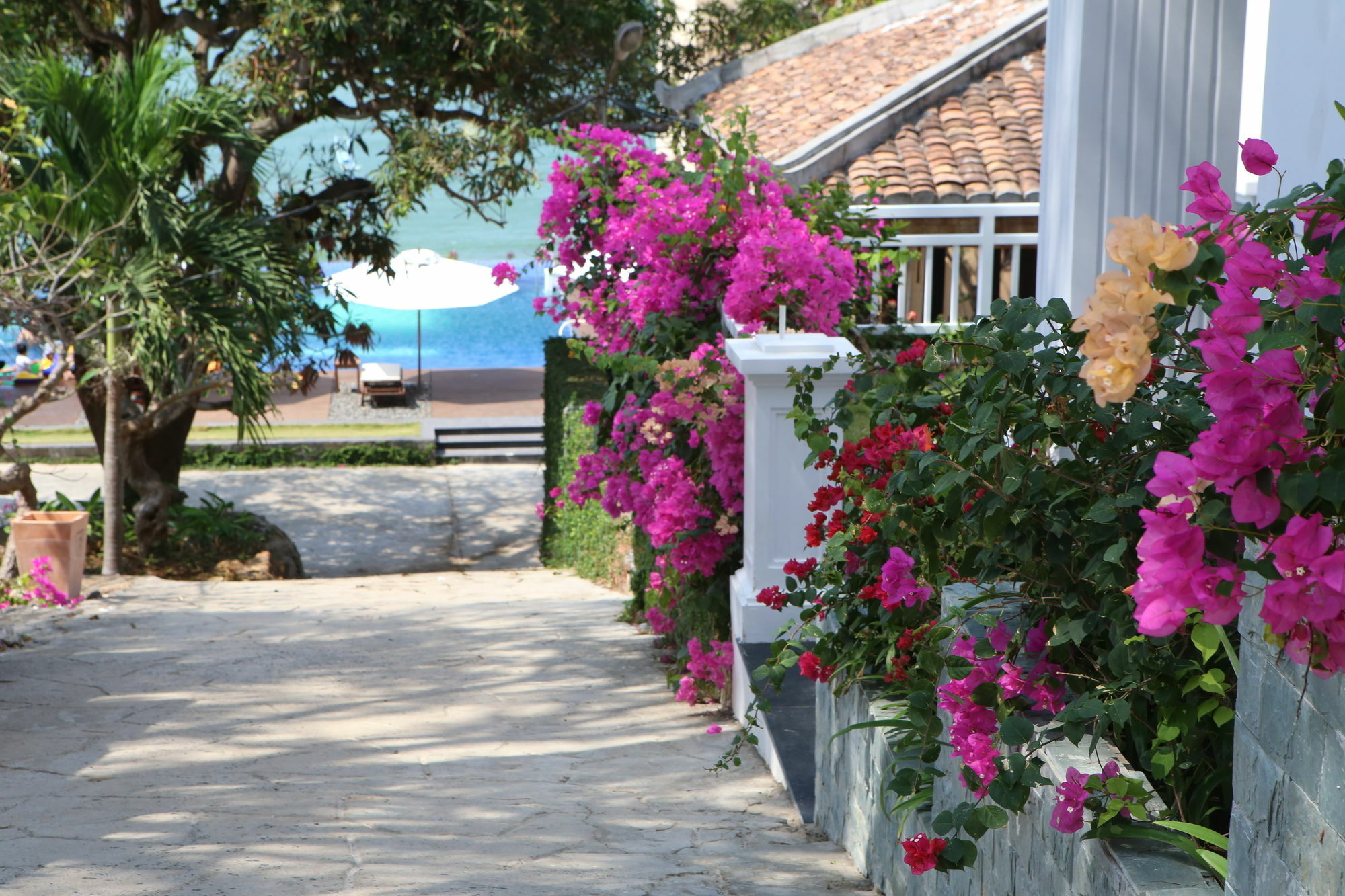Sv Boutique 4* Vung Tau