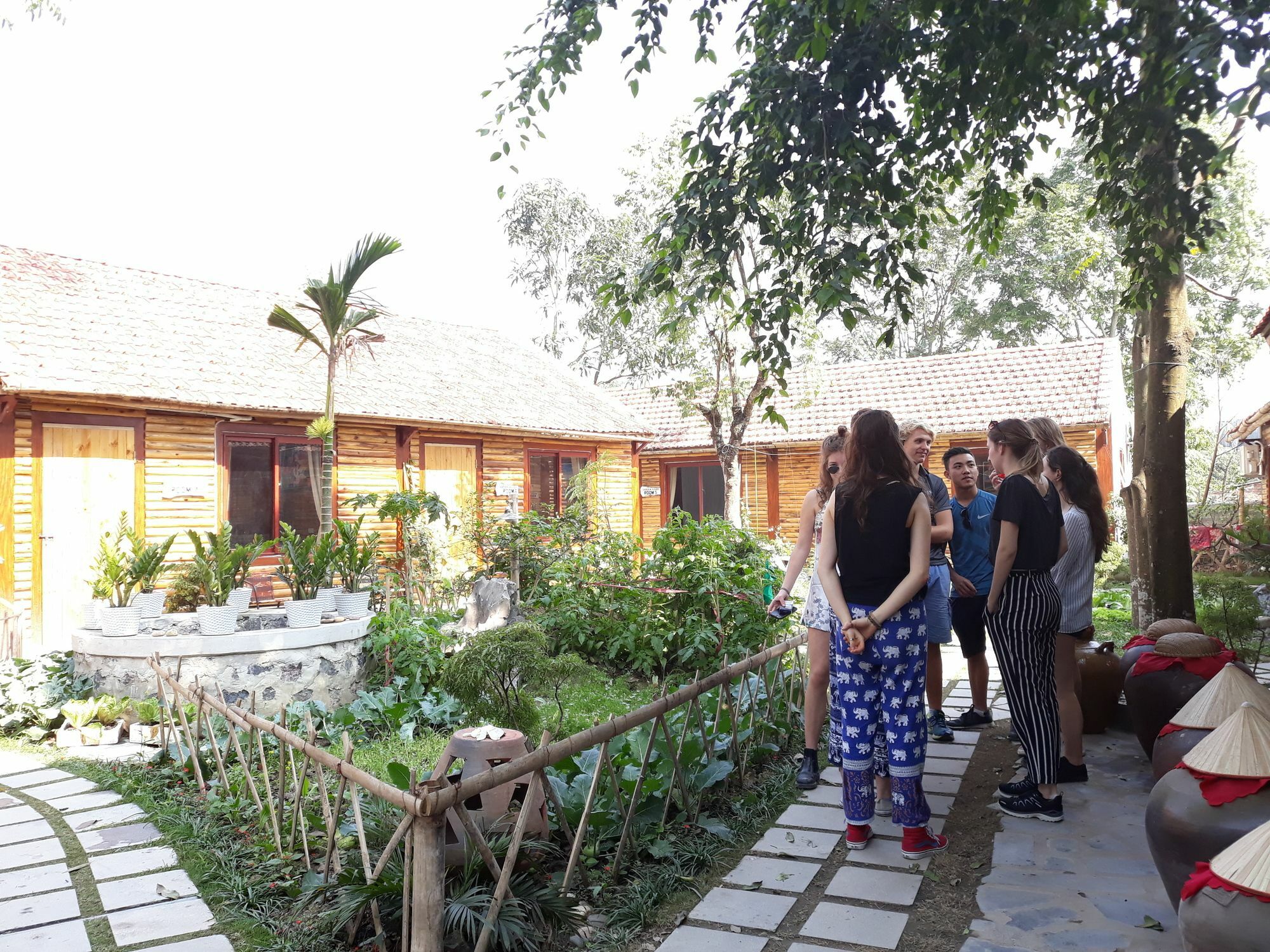 Homestay Peace