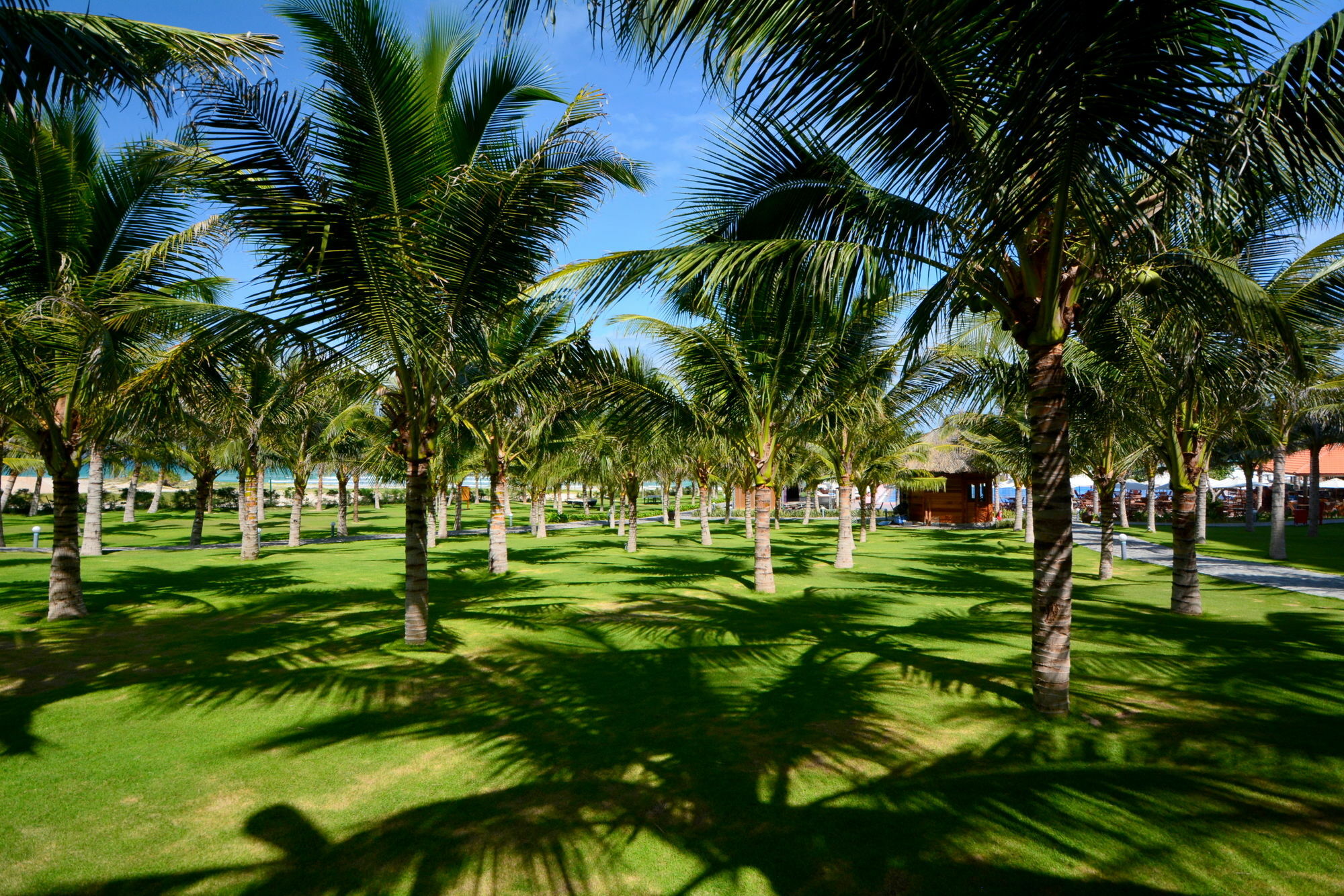 Dessole Nha Trang Mieu Ong