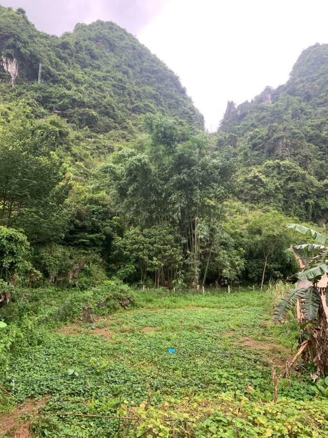 Khuoi Ky Eco Homestay Cao Bang