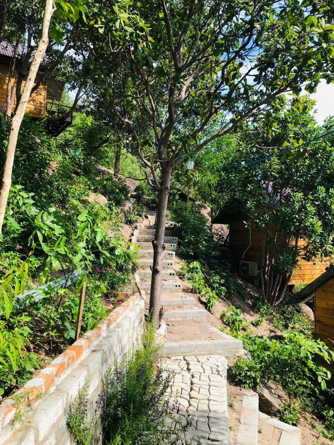 Thanh Nhi Homestay Cam Ranh