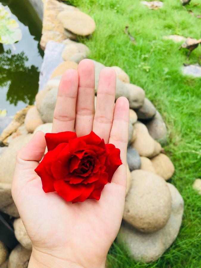 Brother's Homestay Ninh Binh