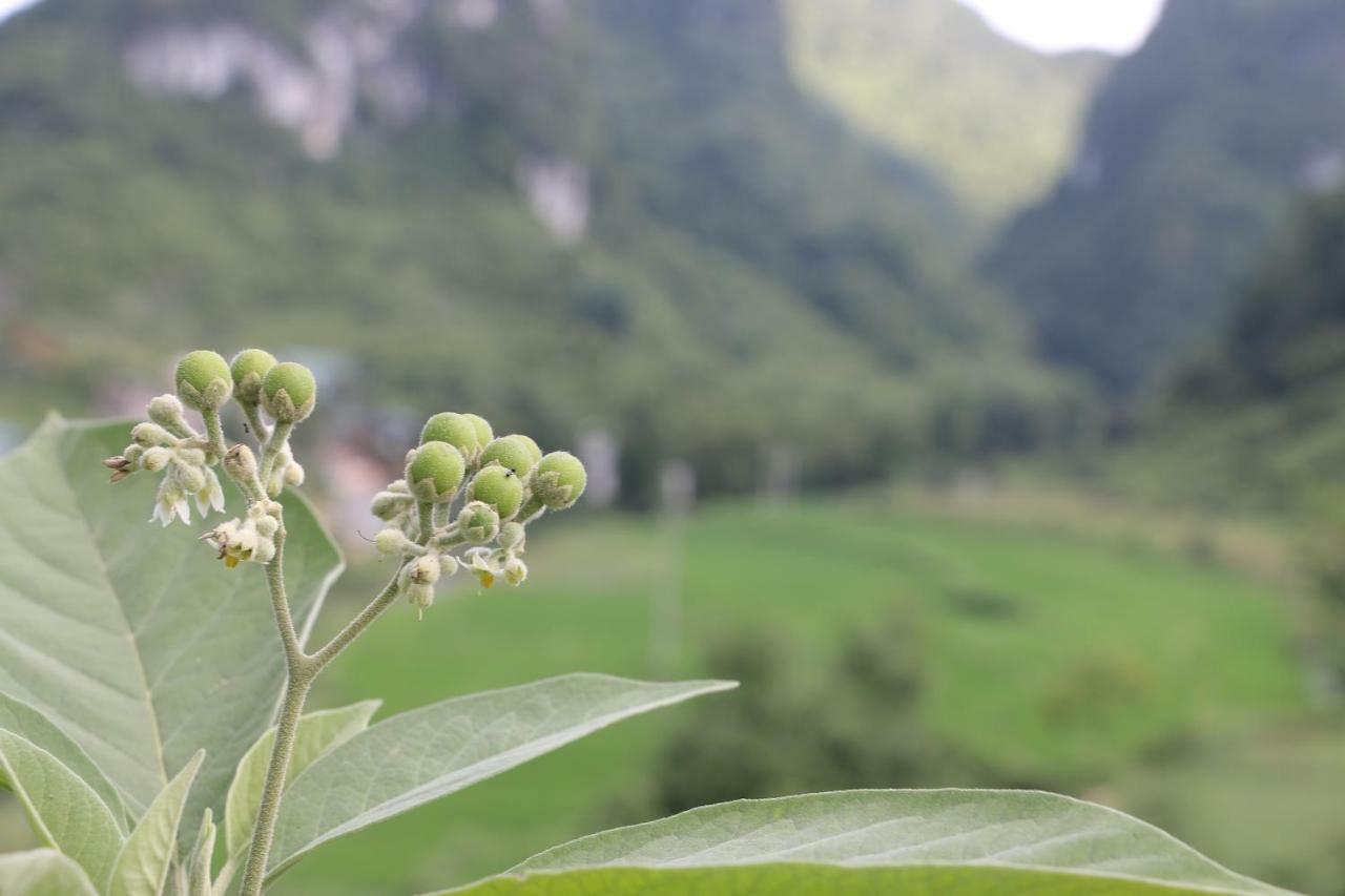 Khuoi Ky Eco Homestay