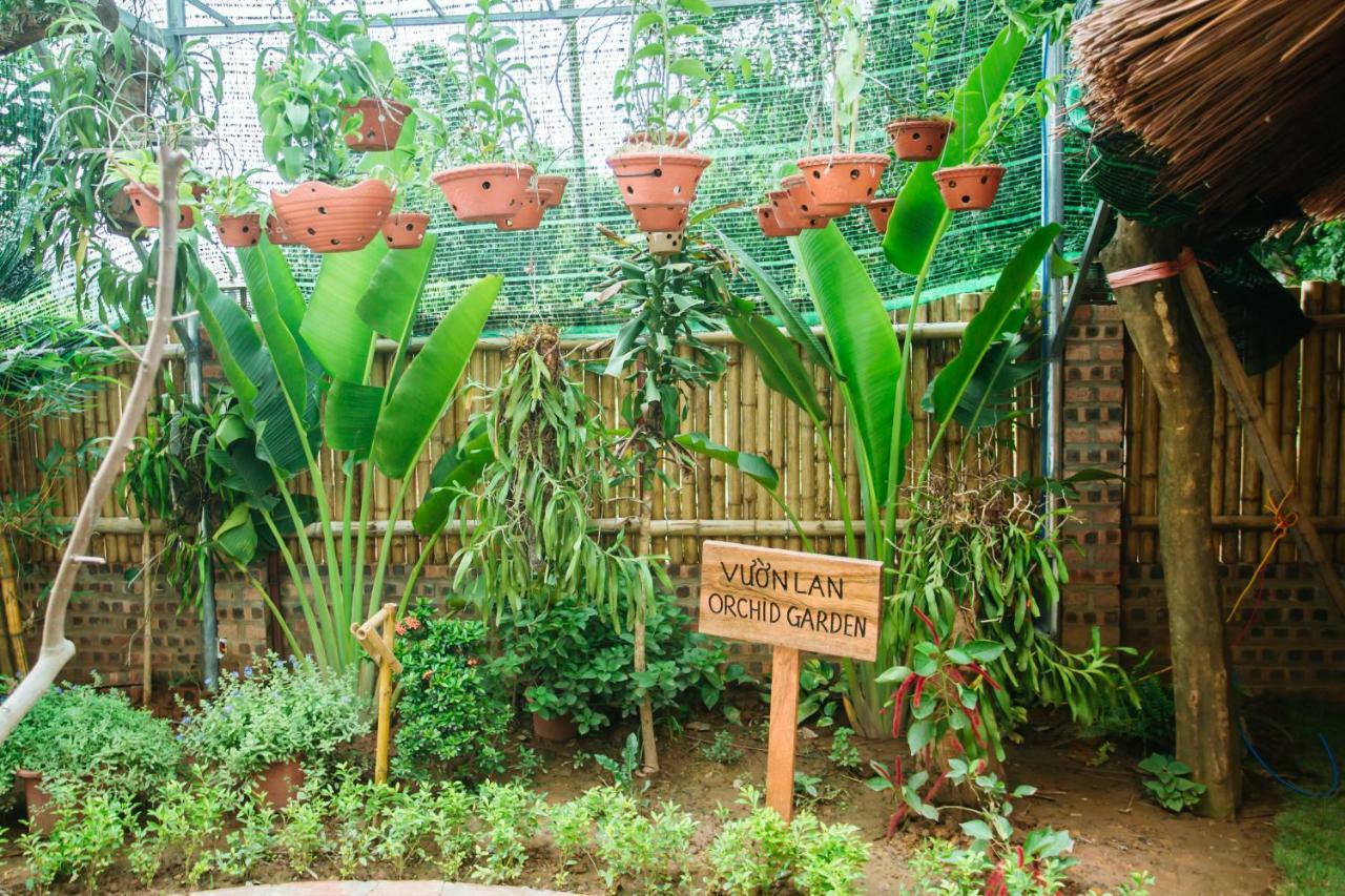 Hotel Nan House - Tam Coc Ninh Binh