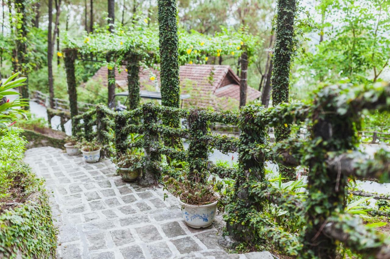Sankofa Village Hill & Resort