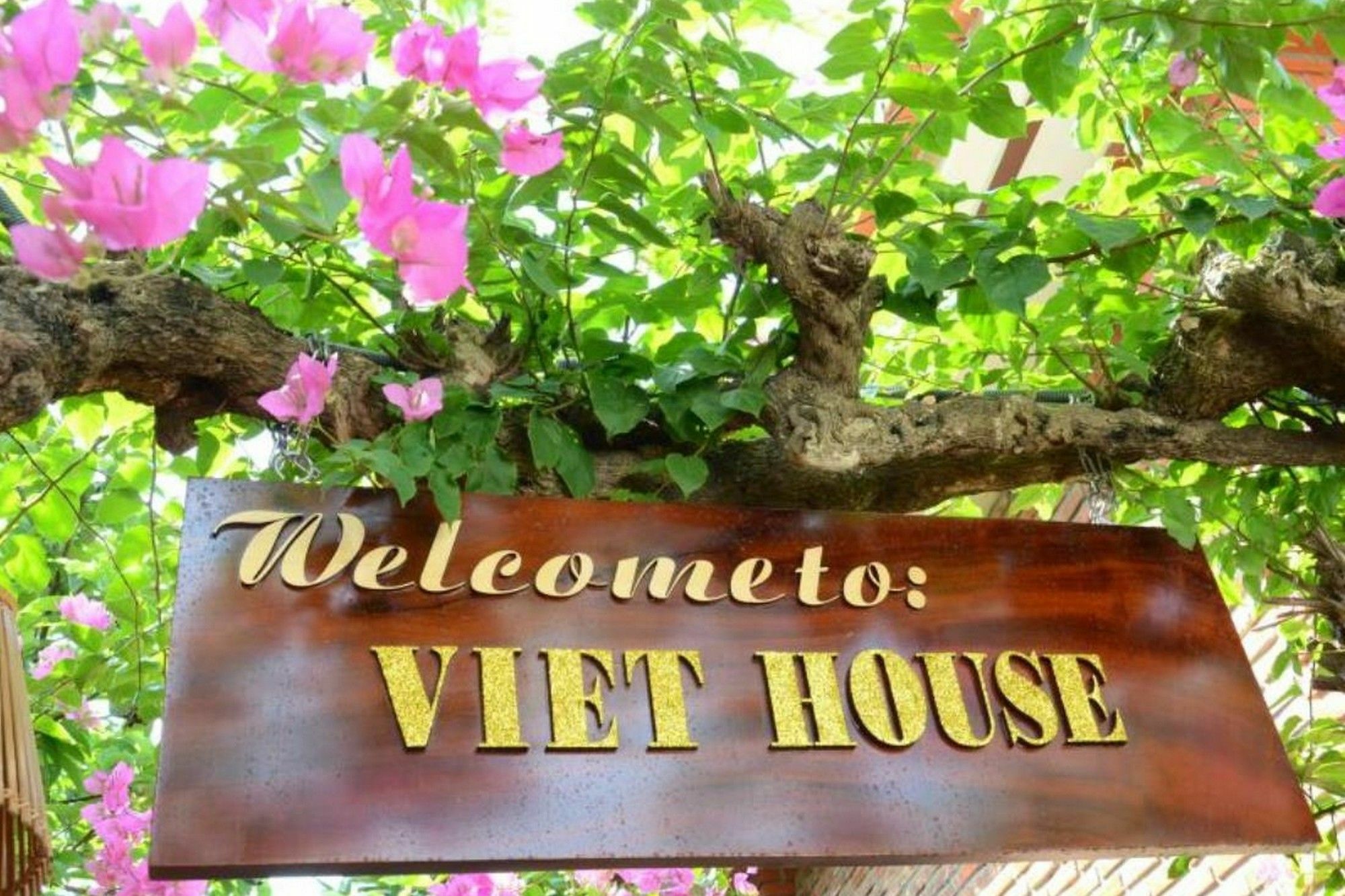 Guest house 313 Cua Dai - Viet House 2*