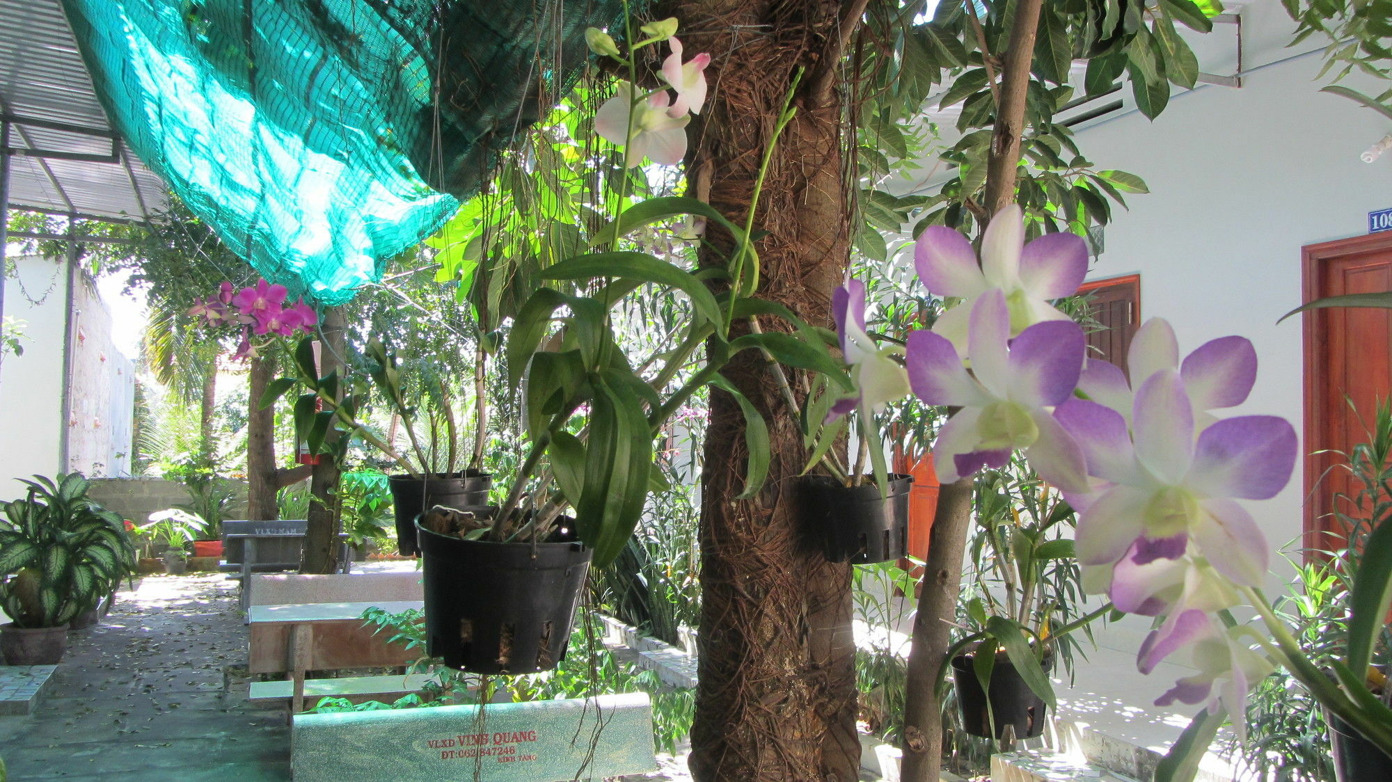 Duc Thao Guest house
