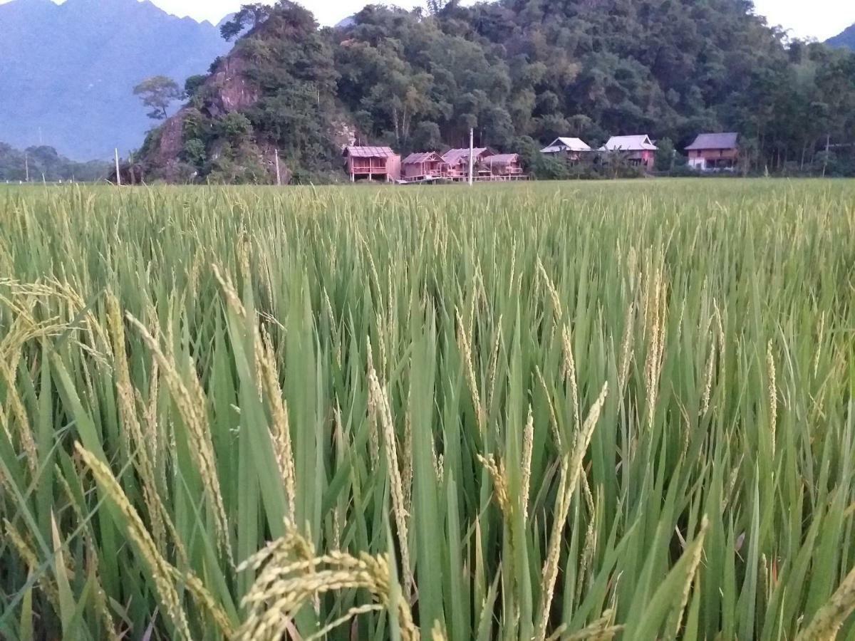 Ở trọ Little *