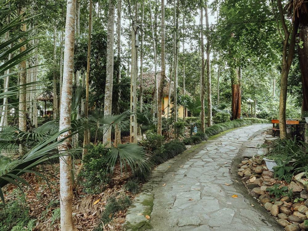 Khu nghỉ mát Truong Xuan 2*