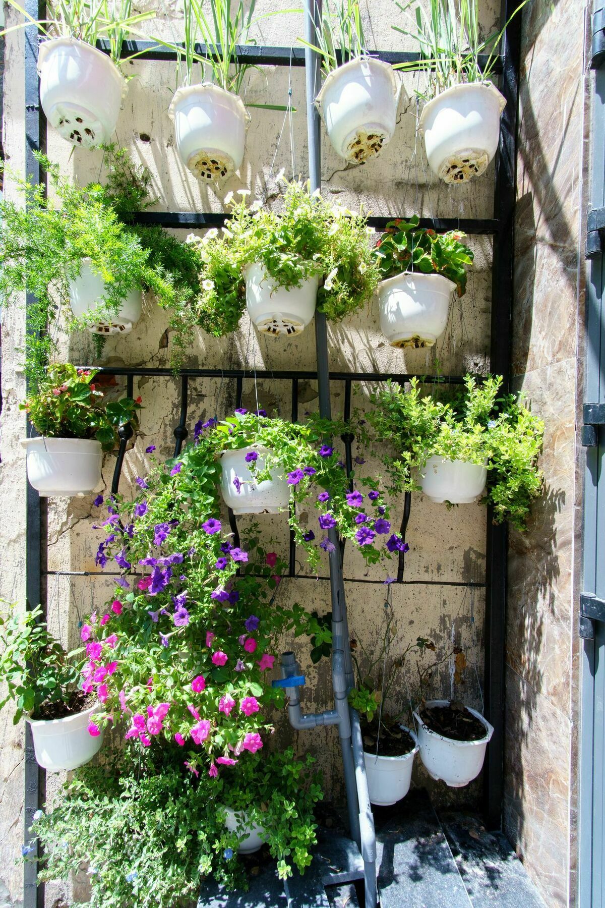 Dreamy House - Boutique