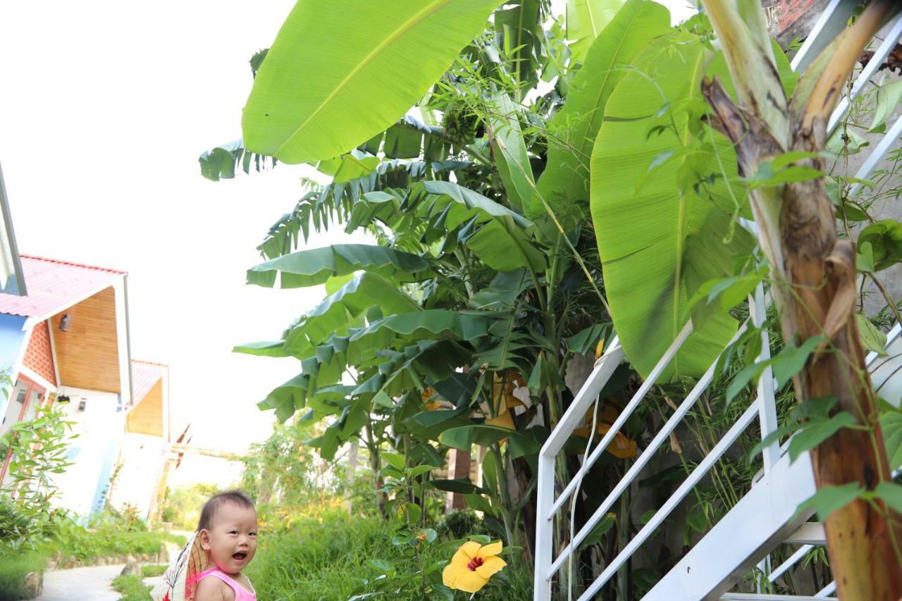 Bed & Breakfast Friendly Phong Nha